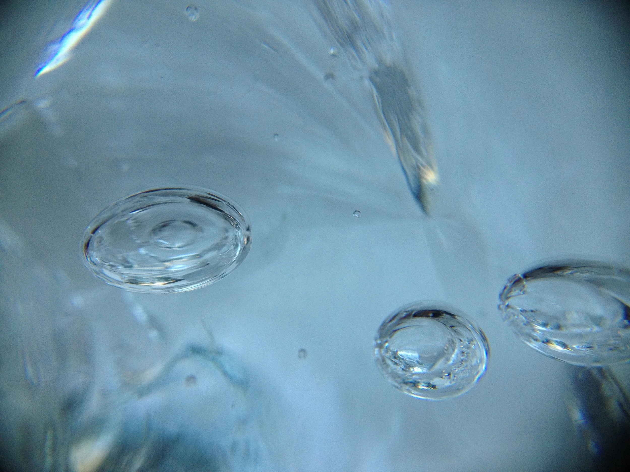 backup08022016 842.JPG