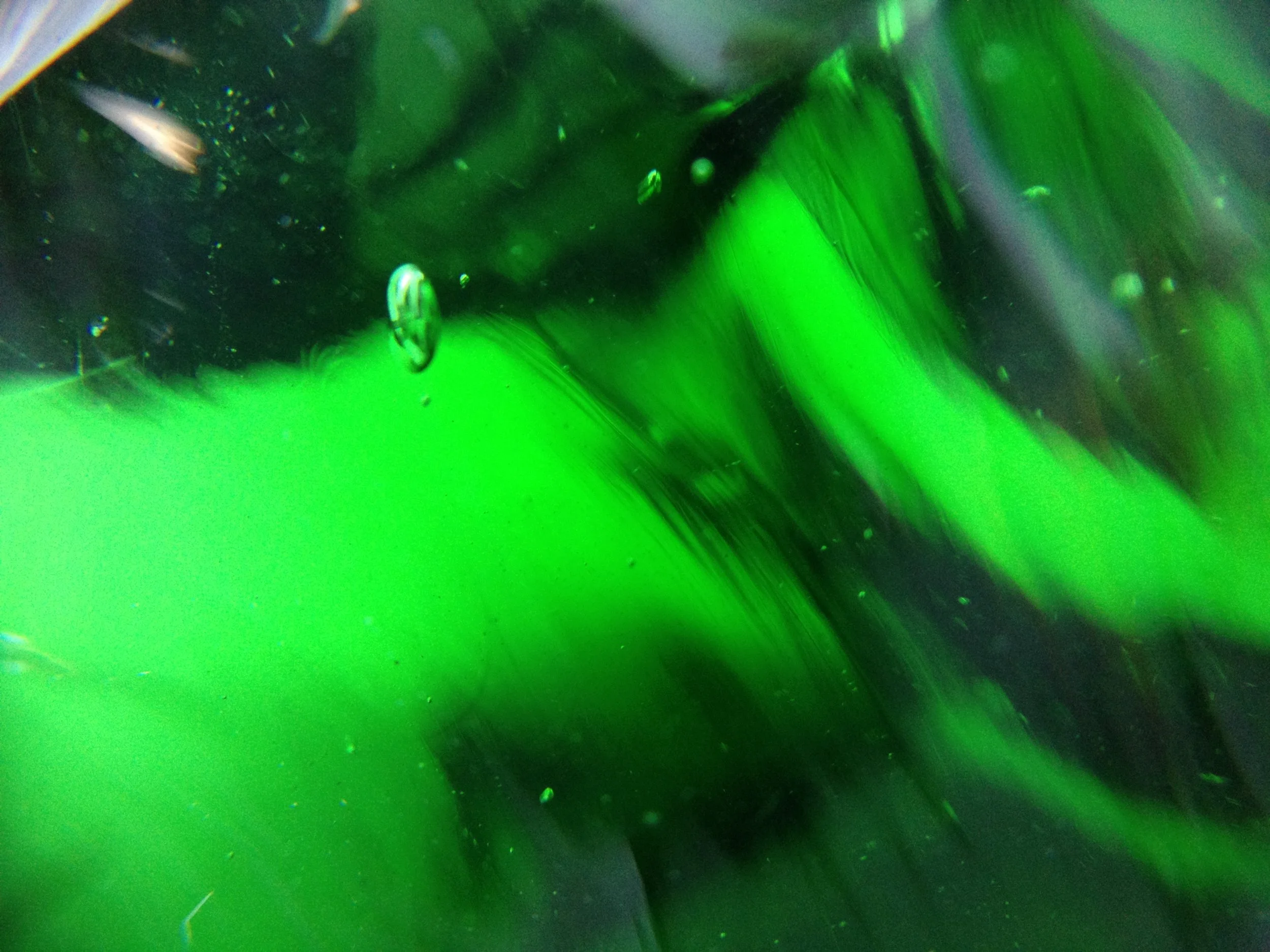 backup08022016 834.JPG