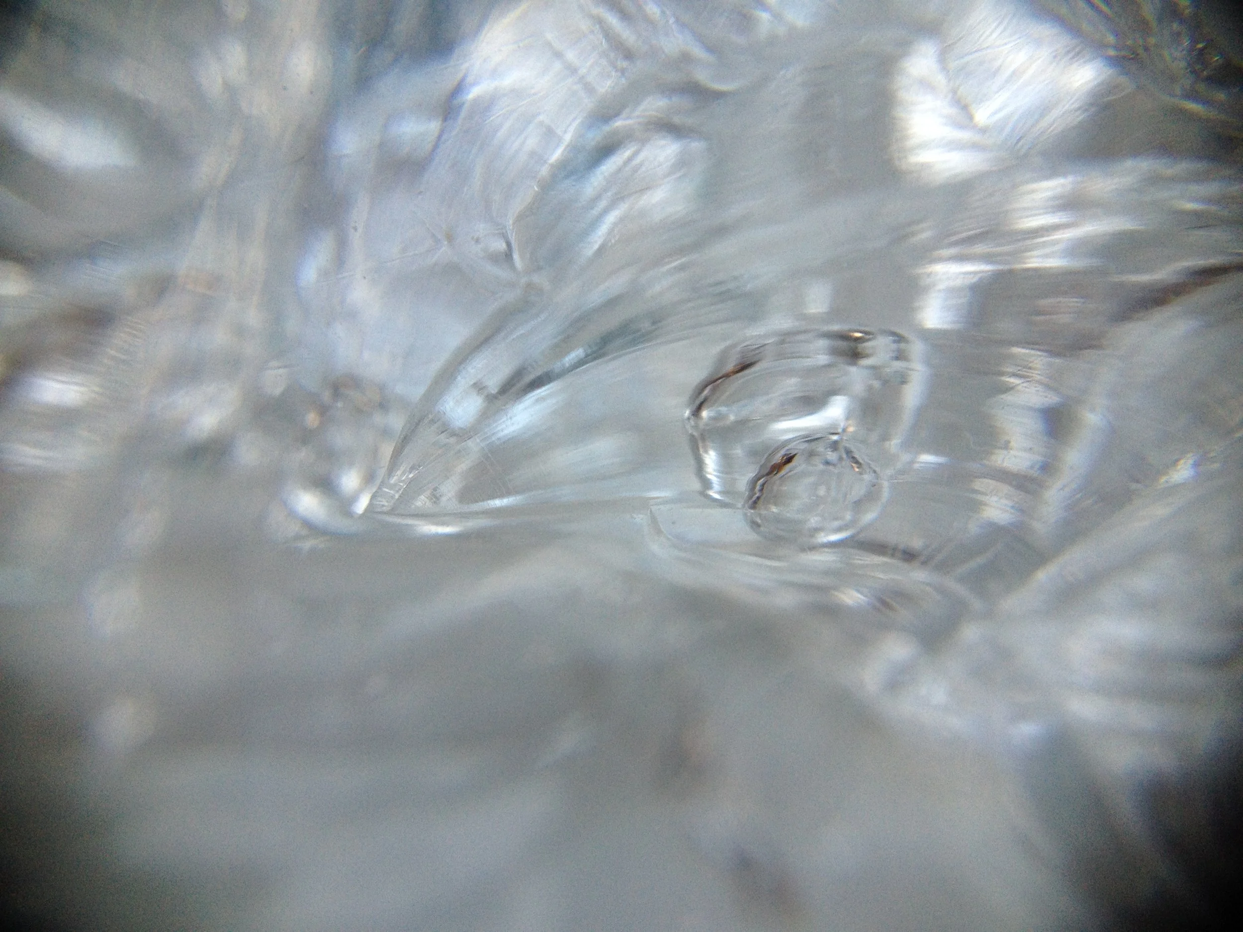 backup08022016 841.JPG