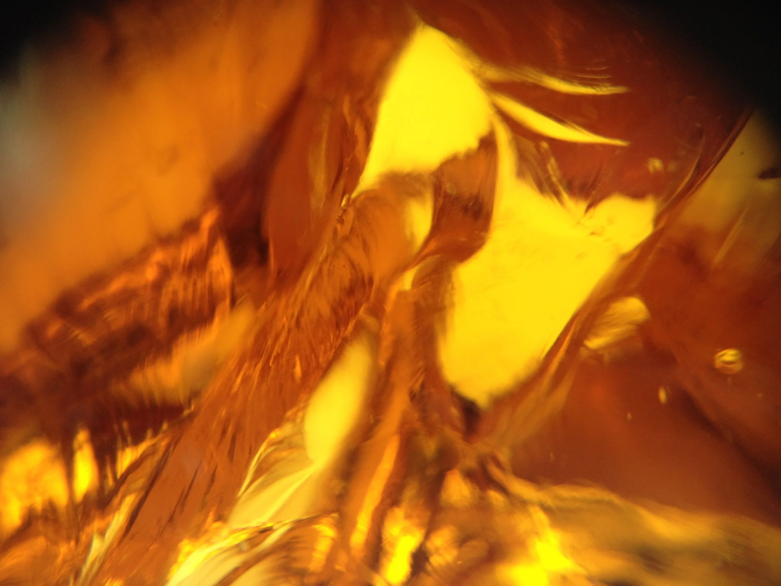 backup08022016 806.JPG