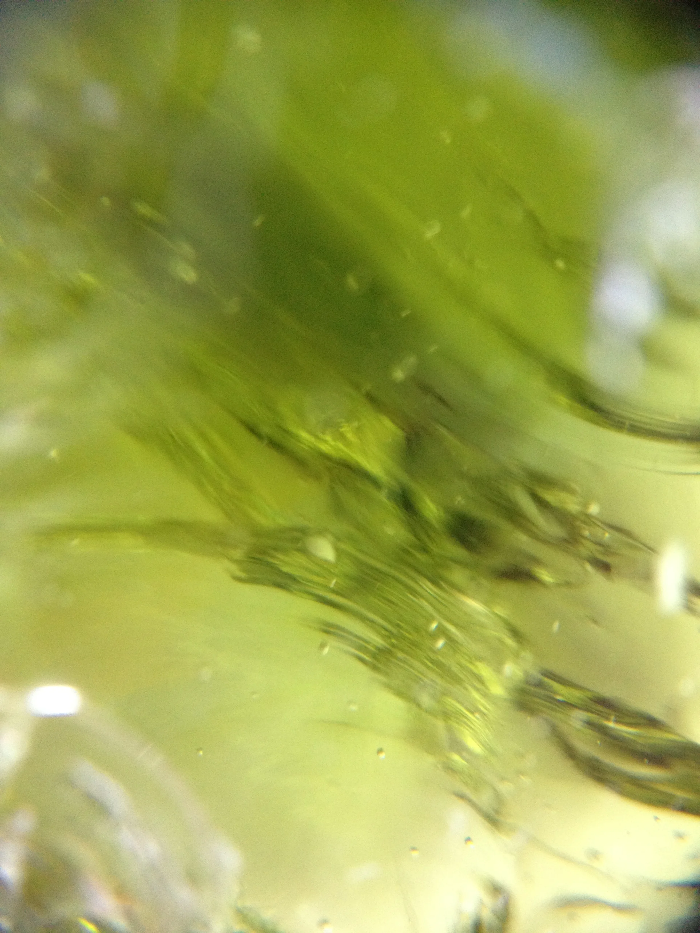 backup08022016 831.JPG