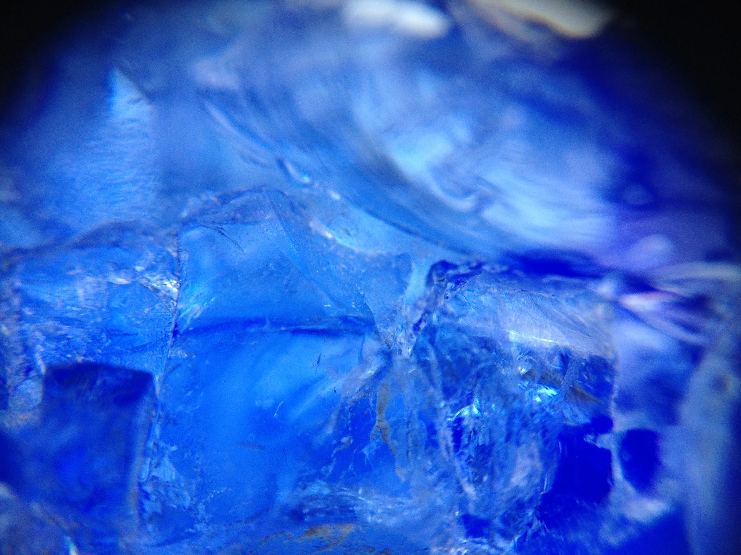 backup08022016 807.JPG