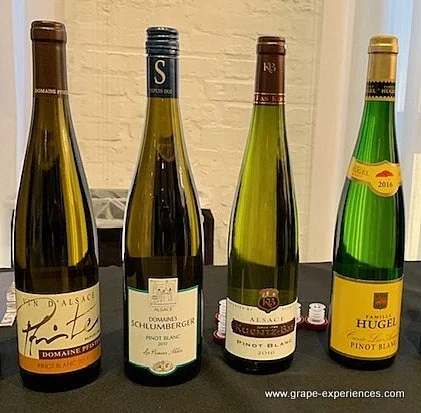 PinotBlanc3.jpg