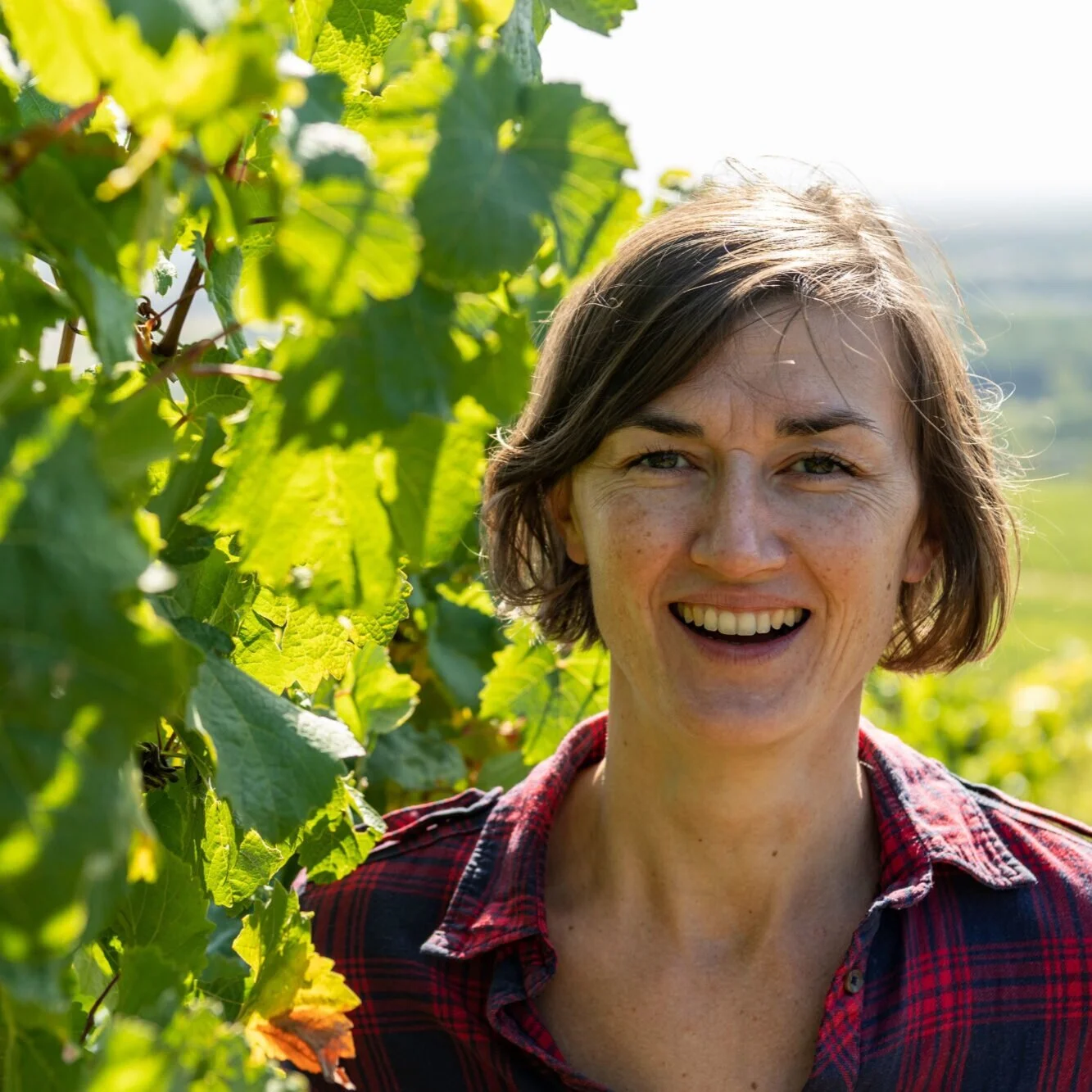 Alsace #VineyardChat with Jeff Harding and Mélanie Pfister of Domaine Pfister