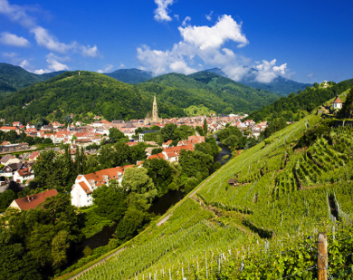 VINEPAIR: 3 of the Best French Wine Regions for Budget Buys