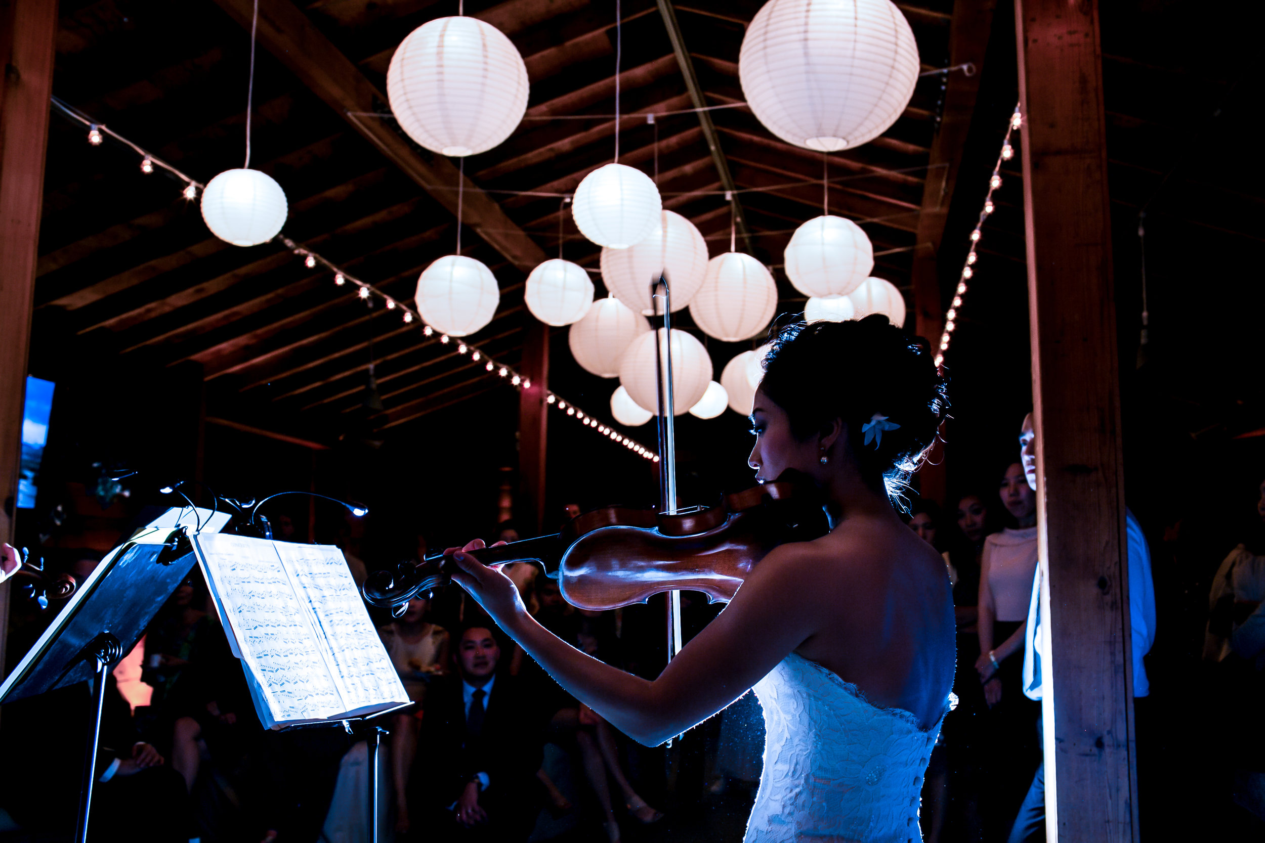 Lantern_lighting_Cornerstone_gardens_hi-res.jpg