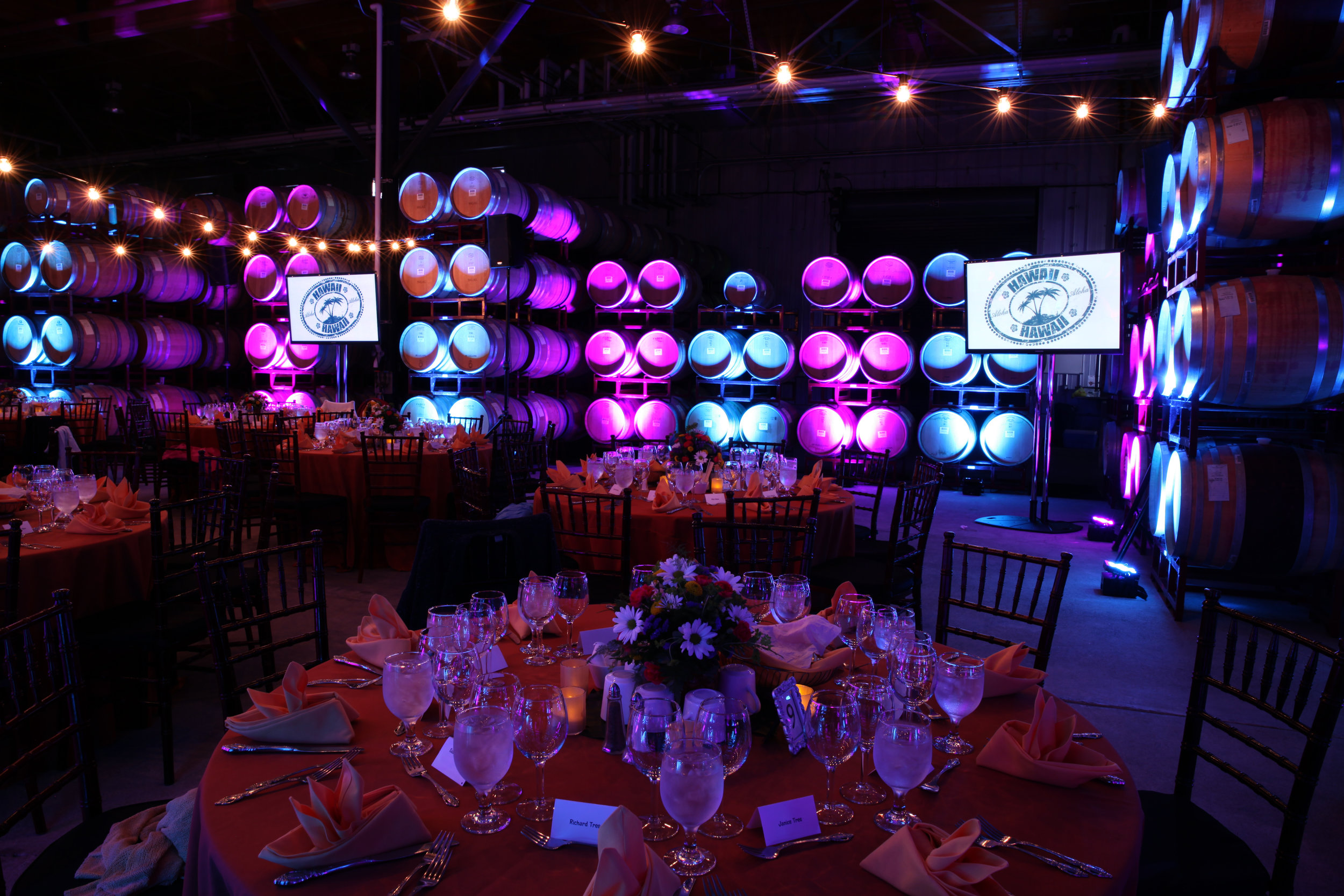 Monitors & Uplights - Black_Stallion_Montessori_Gala.JPG