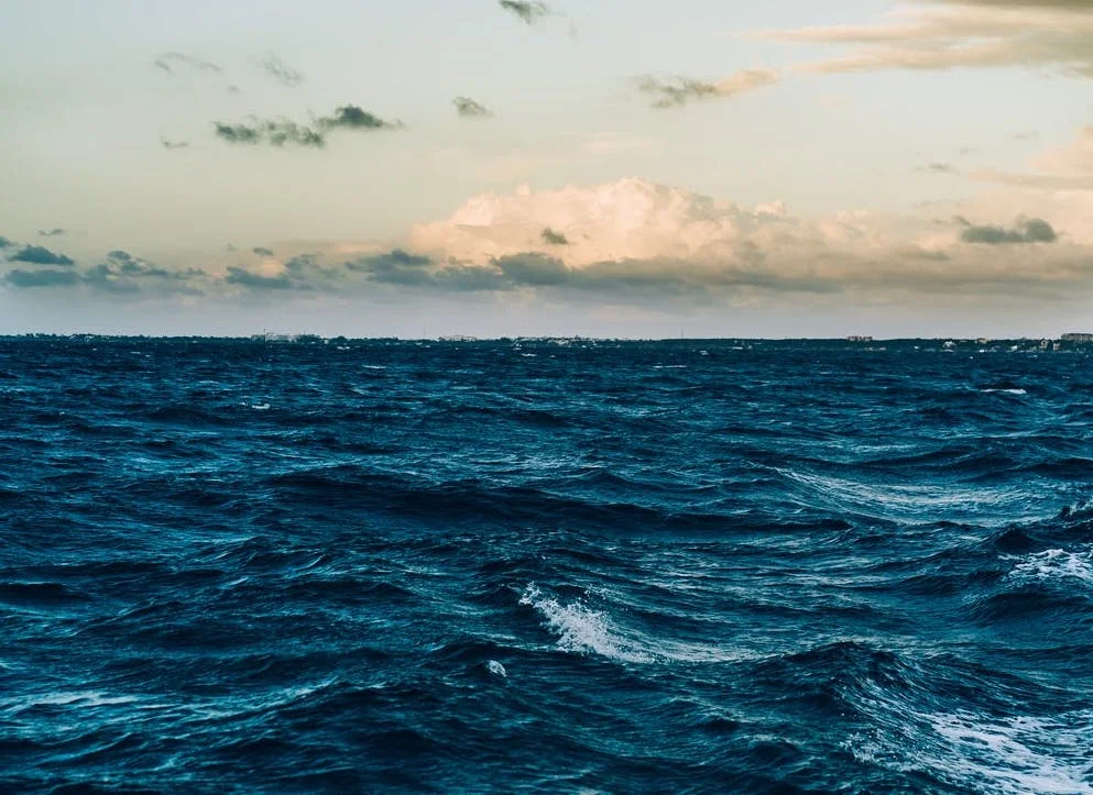 transformation 3.jpeg