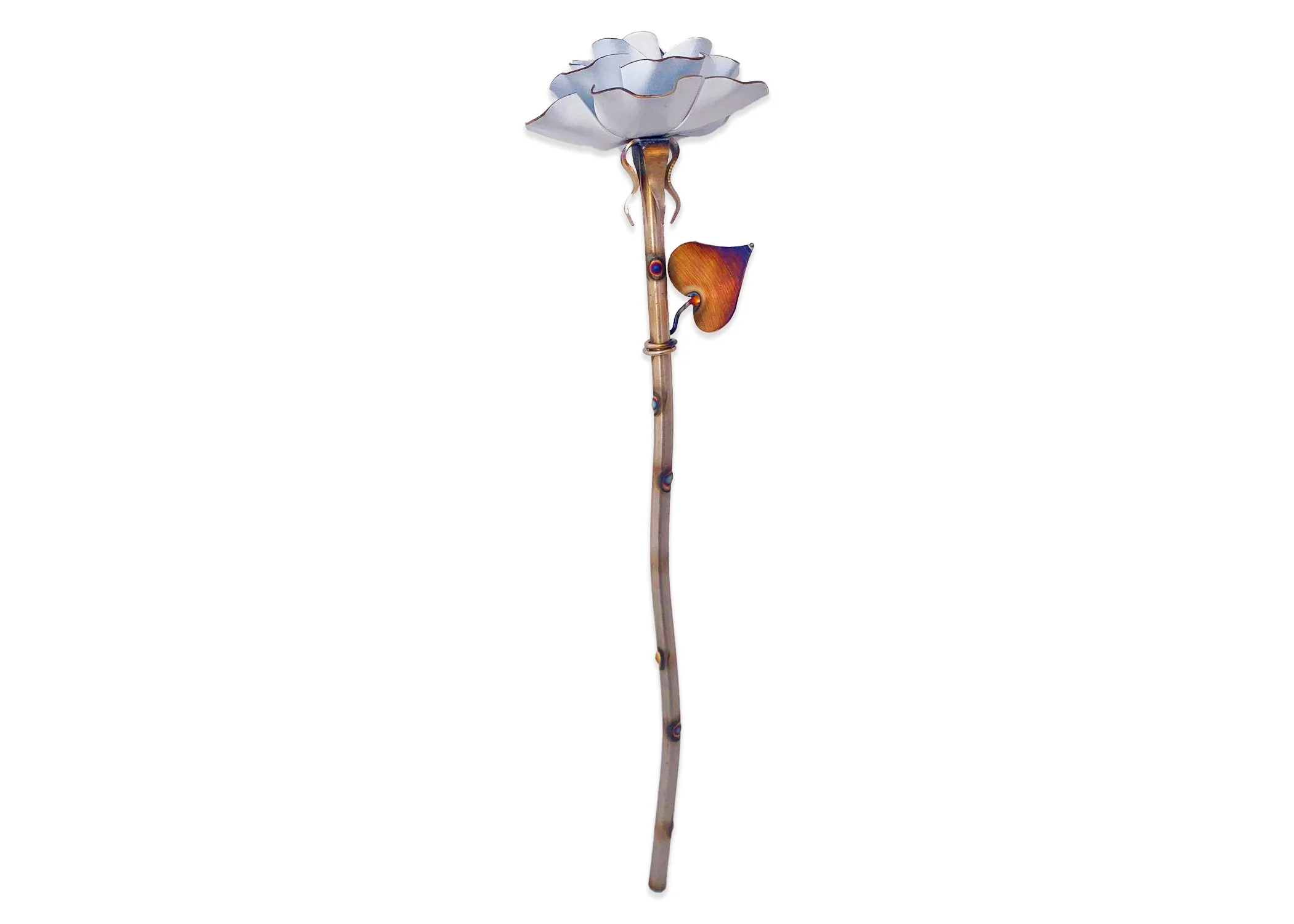 opal website.jpg