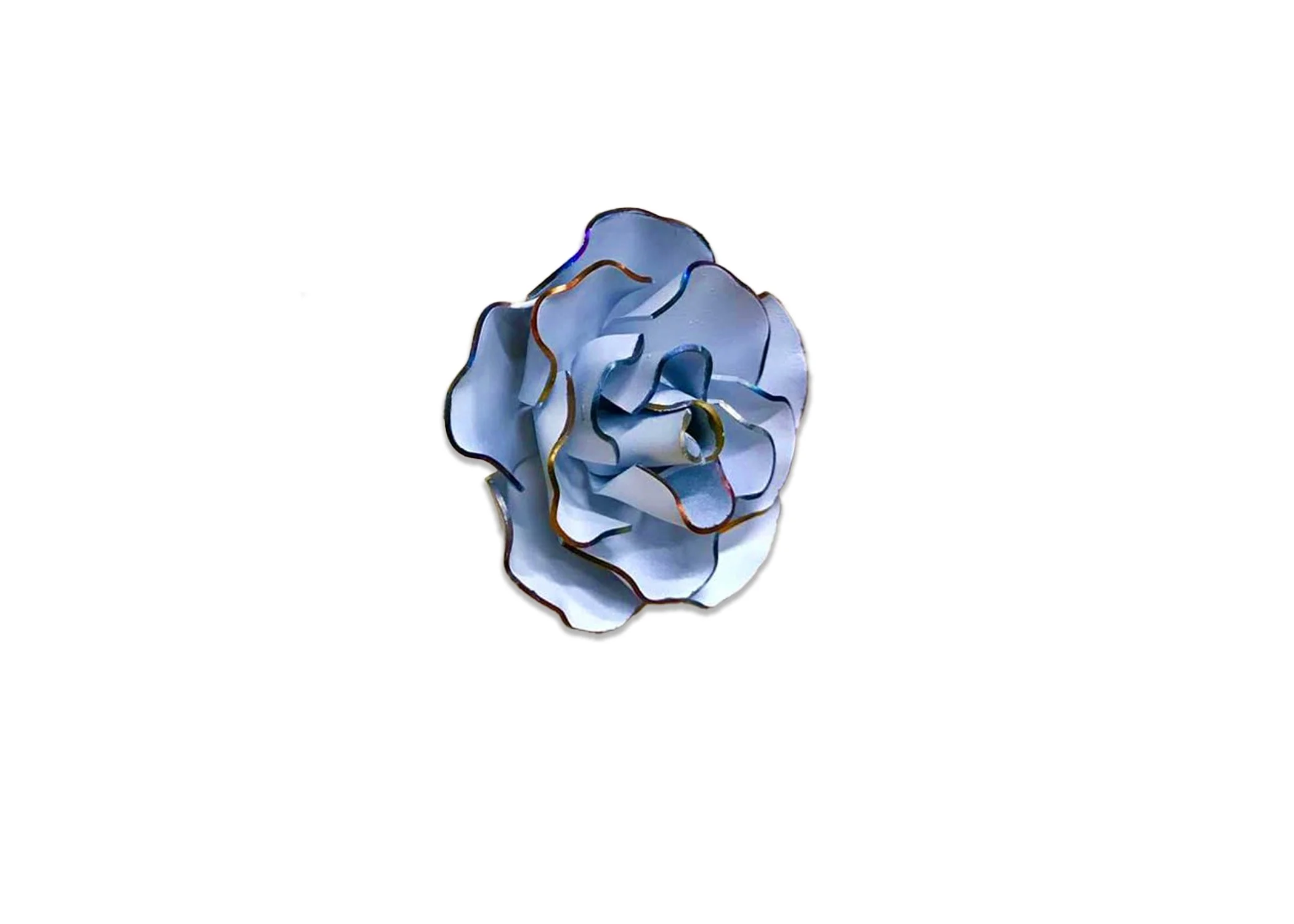 opal website top.jpg