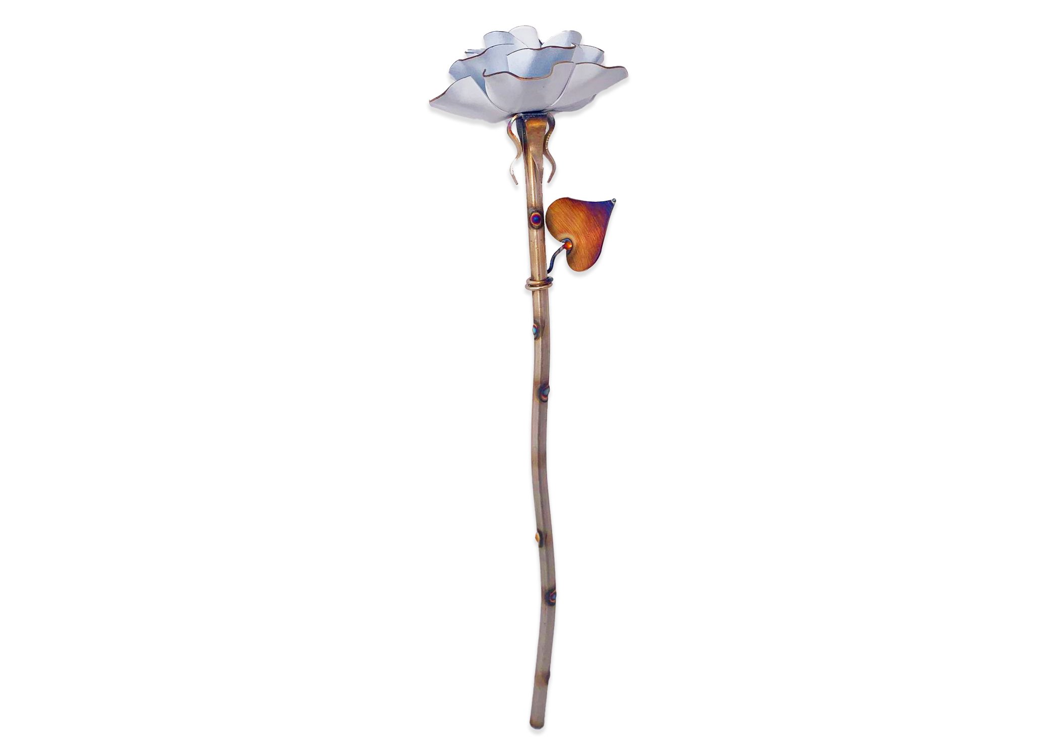 Opal Forever Rose