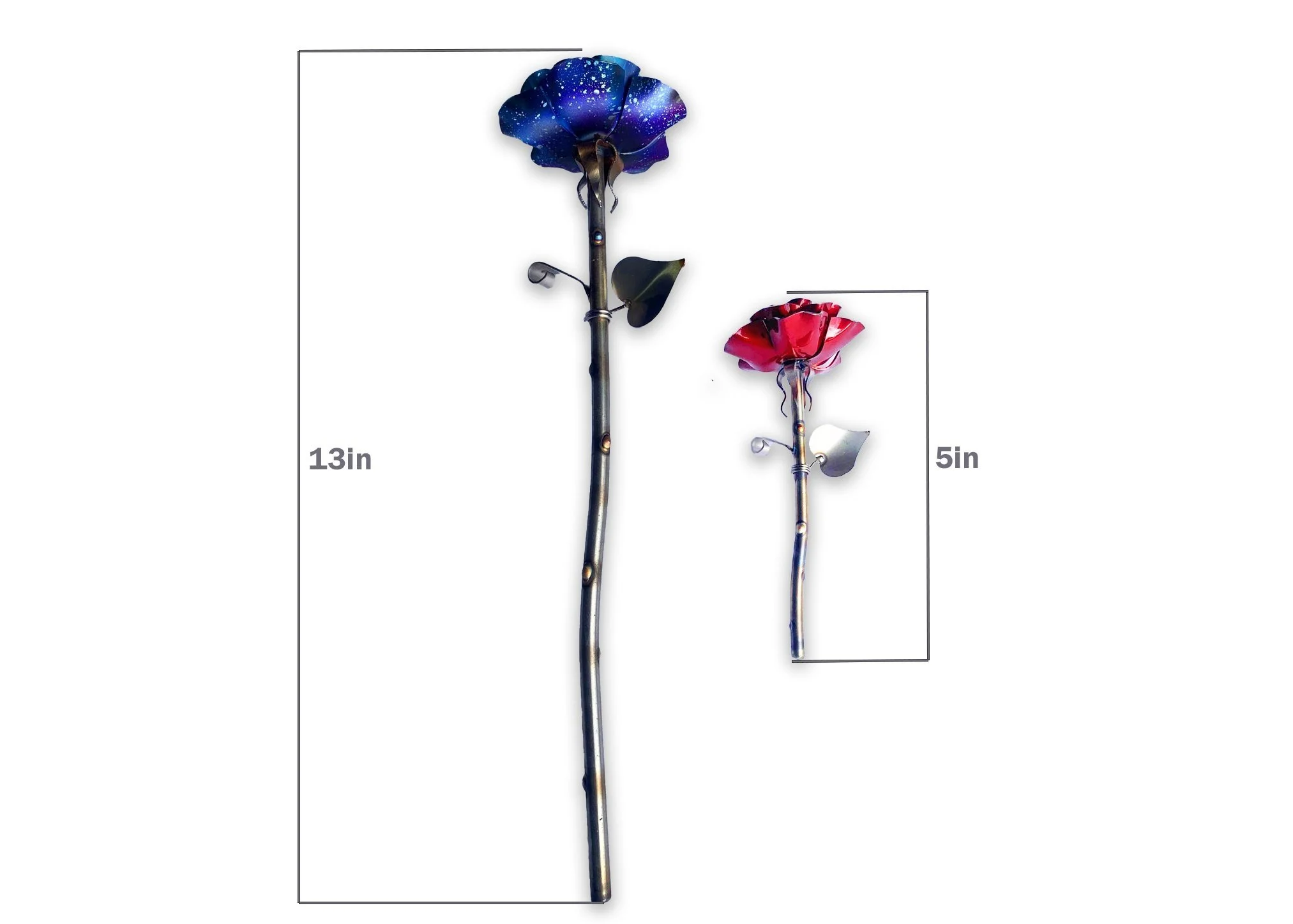 mini+rose+website.jpg