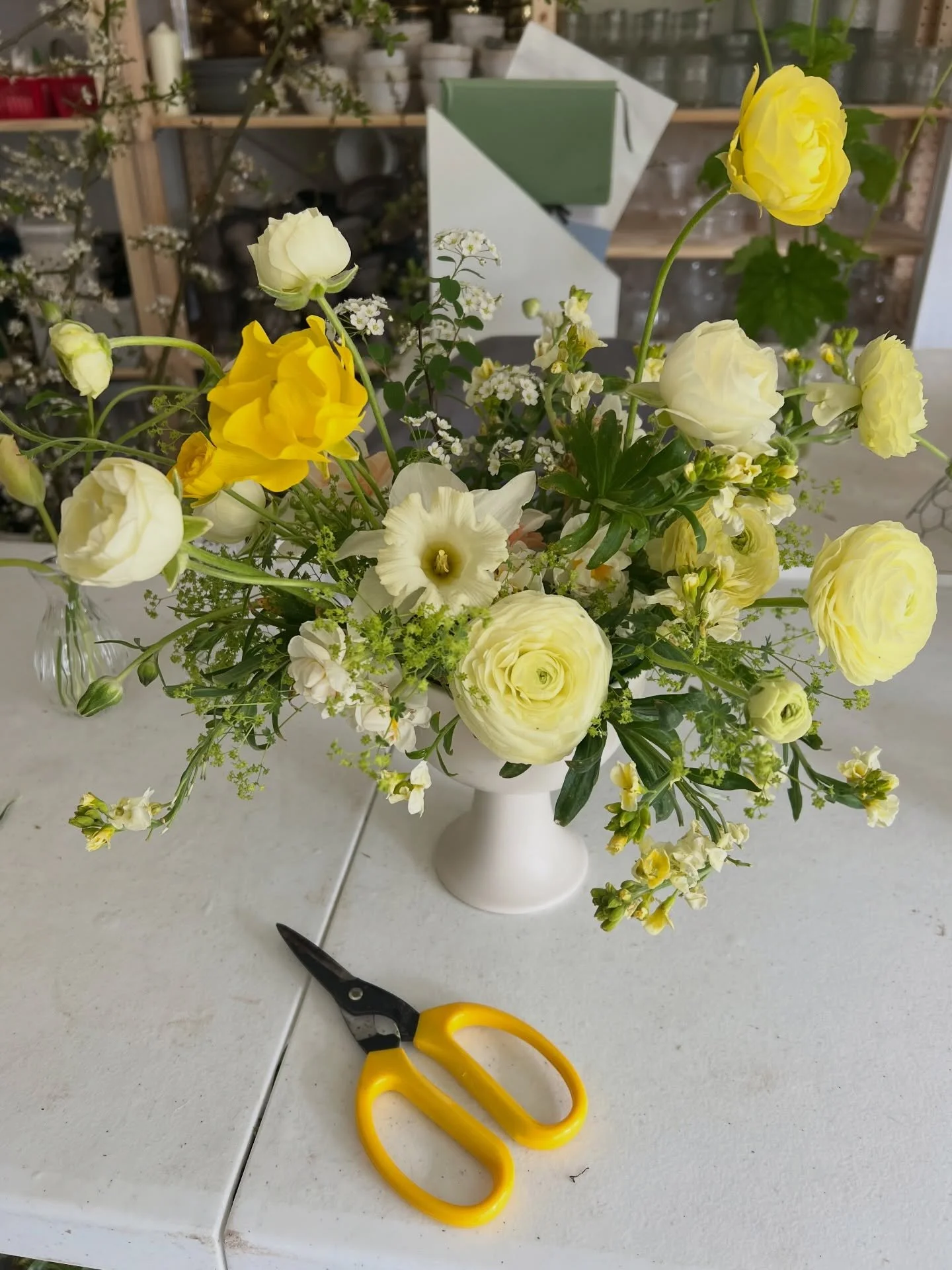 Spring citrus 🍋&zwj;🟩🍊