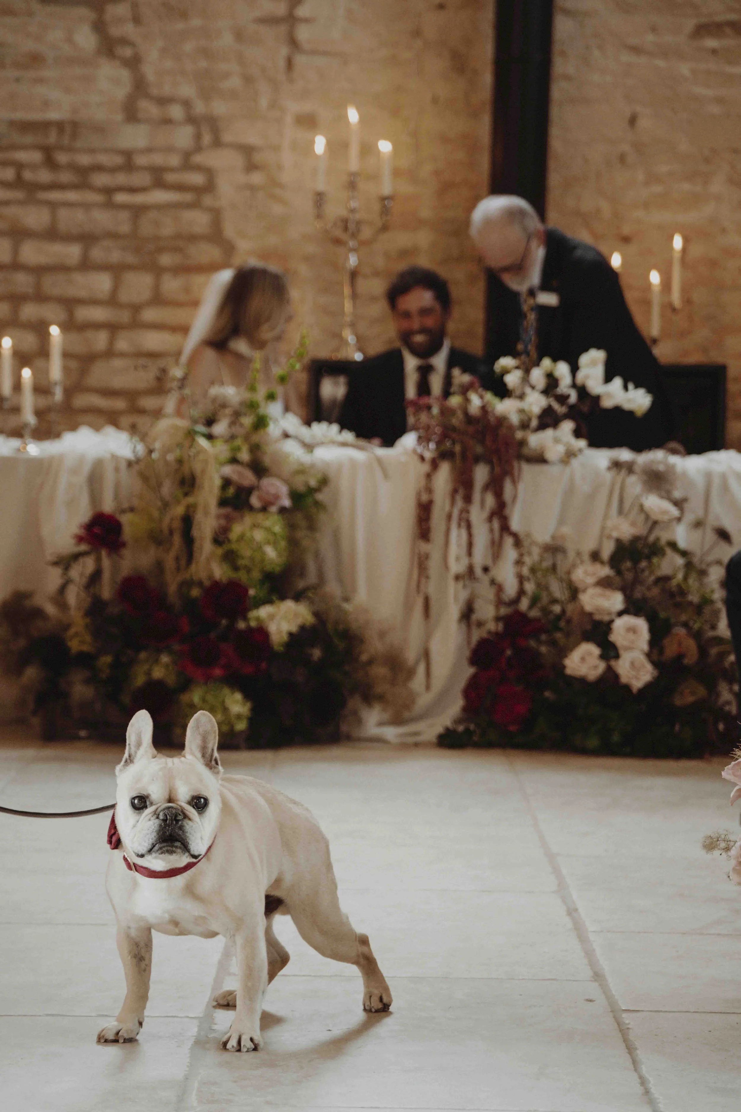 A cute French Bulldog standing on a tiled floor in front of a wedding ceremony scene with a dog wearing a red bow tie. The ceremony backdrop includes a long table with floral arrangements, candles, and a brick wall.