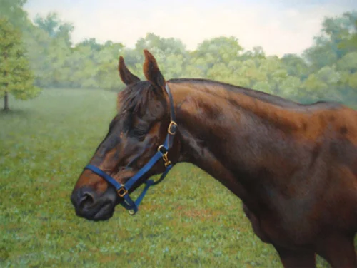 72 dpi web final The Old Gentleman - Sam sized Oct 12 copy.jpg