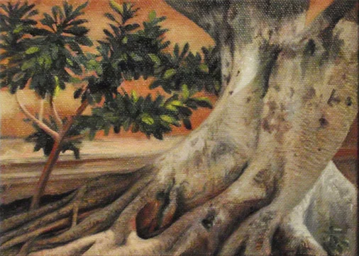 "Laurel Tree, Merida, Mexico" - oil - 5"x 7" Plein air painting