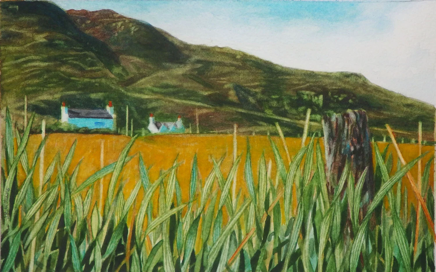 Eigg Afternoon for Sq Space 72dpi 1500 wide.jpg