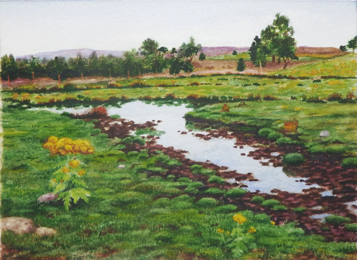 "Soggy Burn" Watercolor 6" x 8"