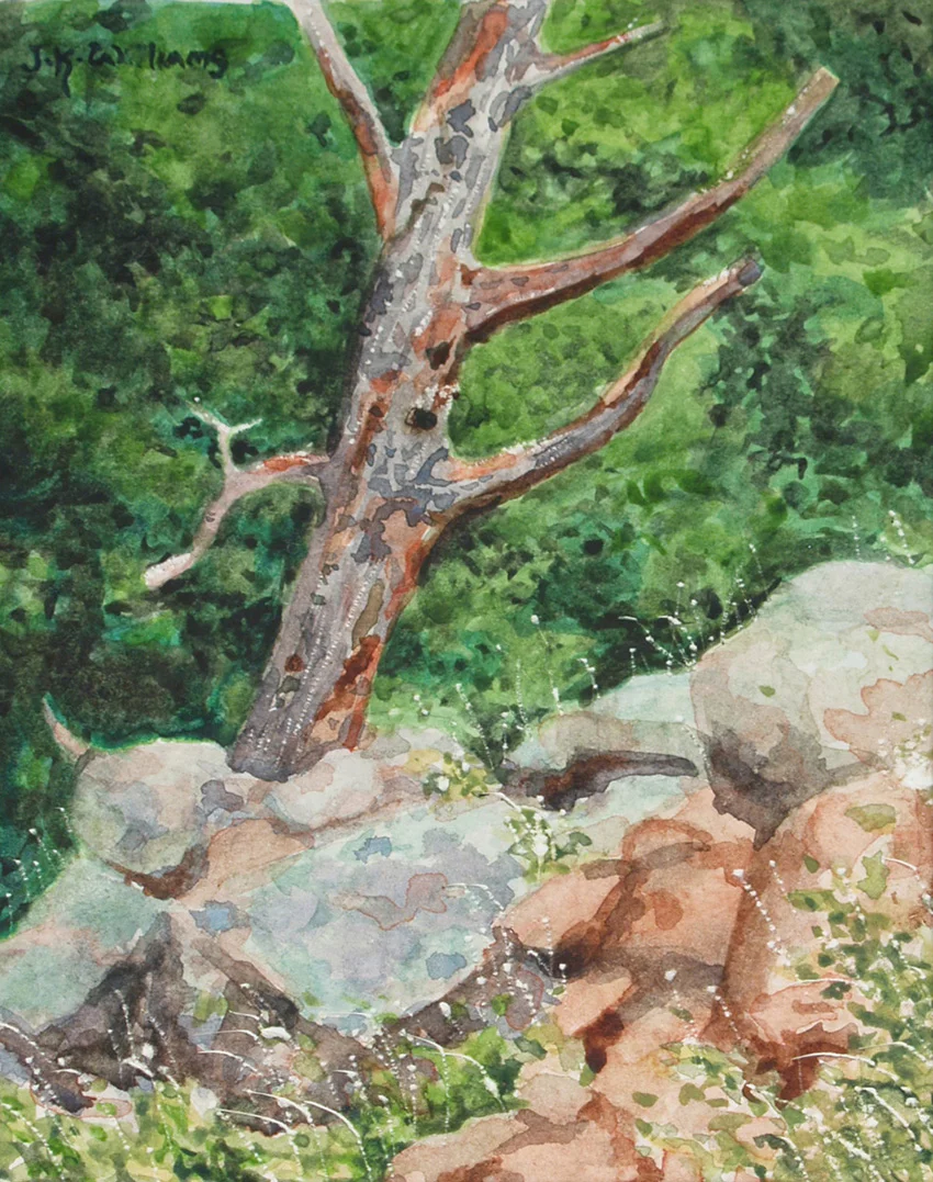 "Dead Tree" Watercolor 4"x 5"