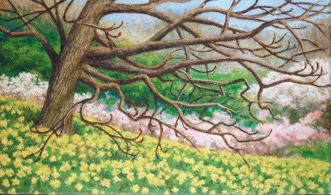 "Daffodil Hill" Oil 4 1/4" x 7 1/4"