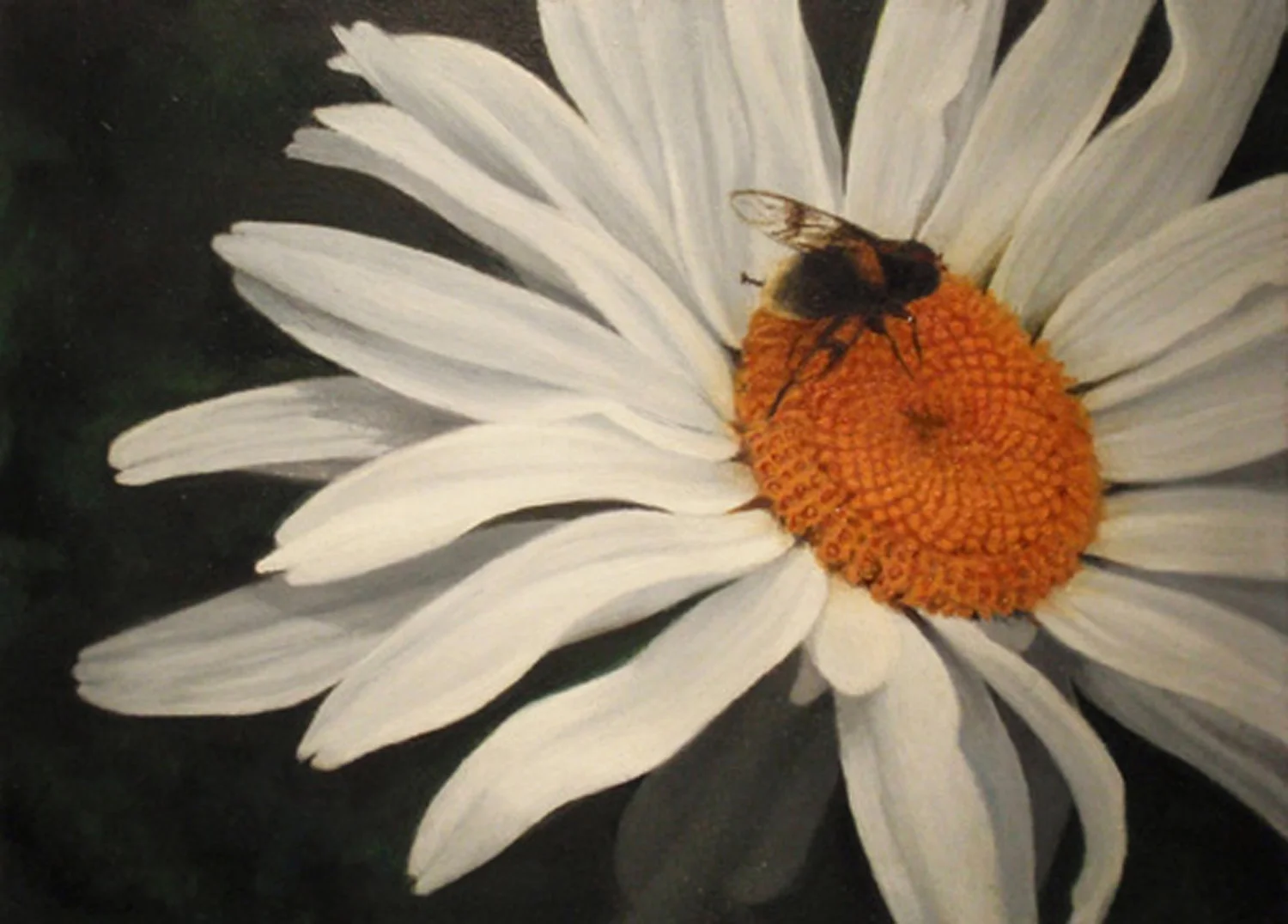 "In the Garden, Kirkibost" Oil 5"x 7"