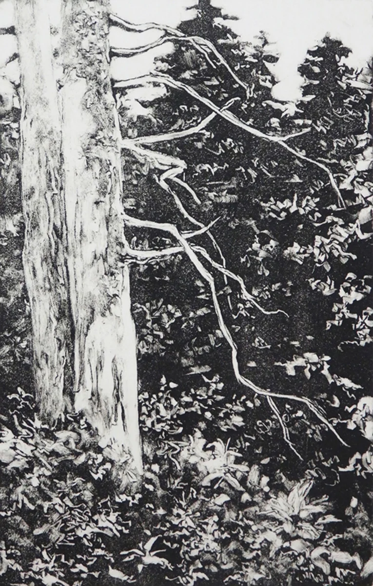 "Tree in Yellowstone" Monotype 6” x 4"