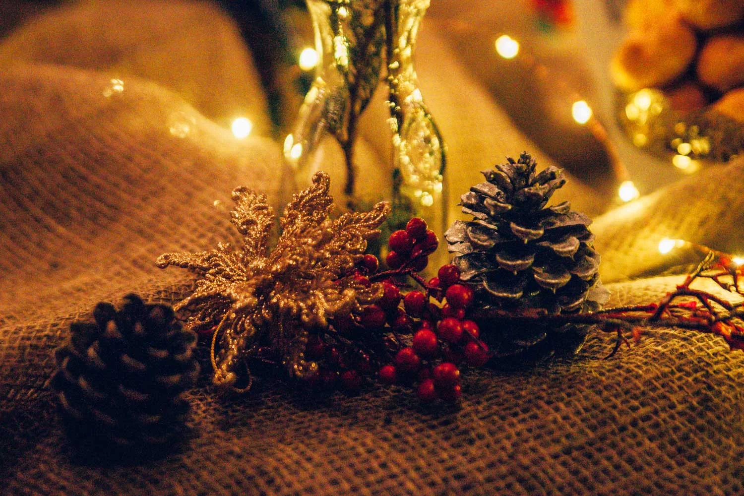 A-Commons-Christmas---Cameron-May-Photography-45.jpg