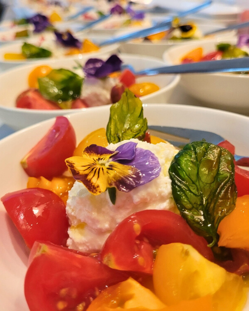 464 - Julie Cann.png