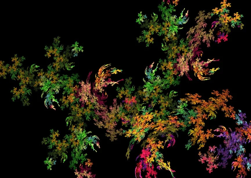 fractal_colour_fern copy.jpg