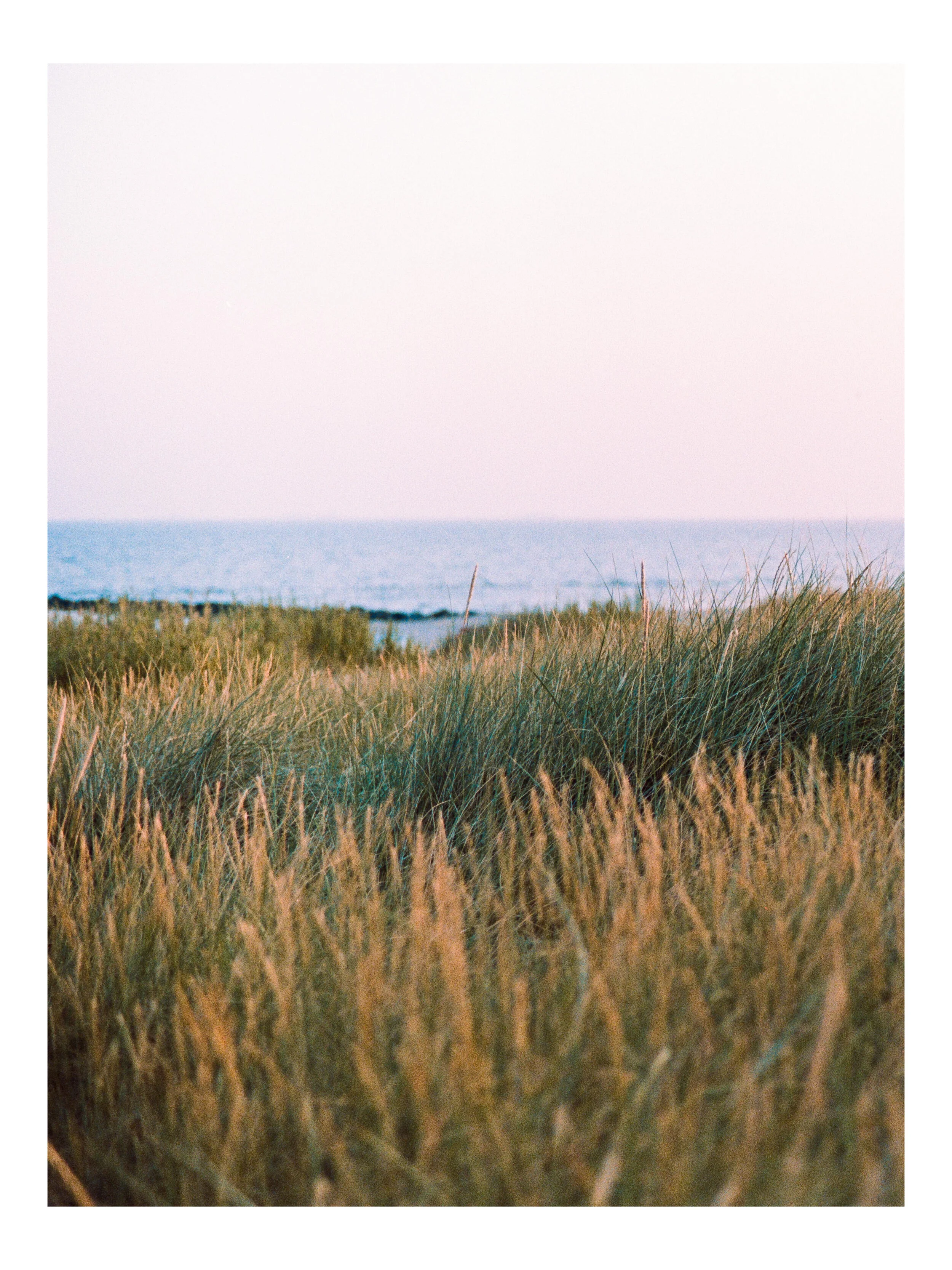 Foehr_Portra_400_Contax_3-positive 2.JPG