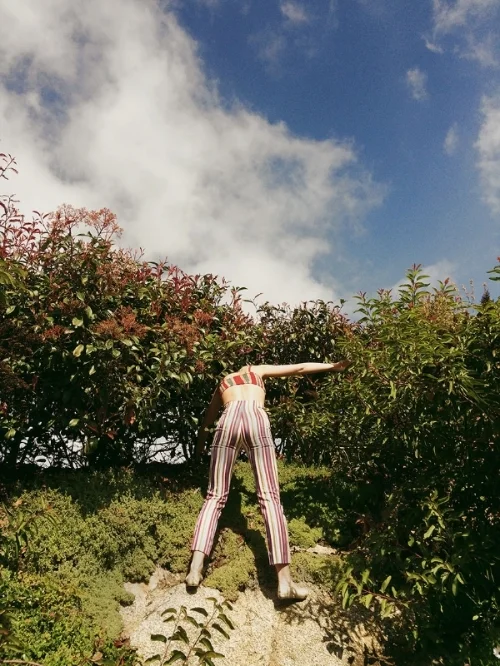 2014-09-02_MGY_VERNACULAR_01.jpg