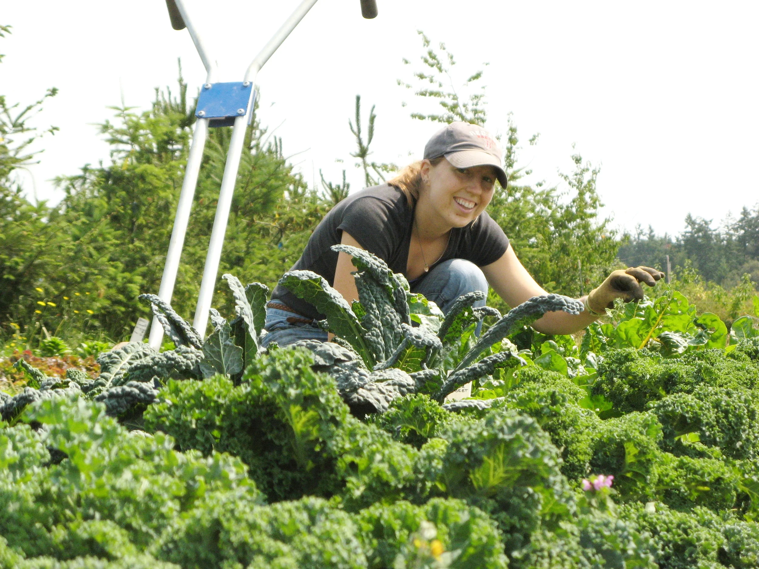 Laney with Sweetbriar Kale.JPG