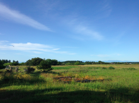 Sweetbriar Farm, Lopez Island, WA.