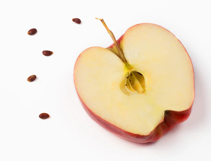 Apple-Seeds.jpg