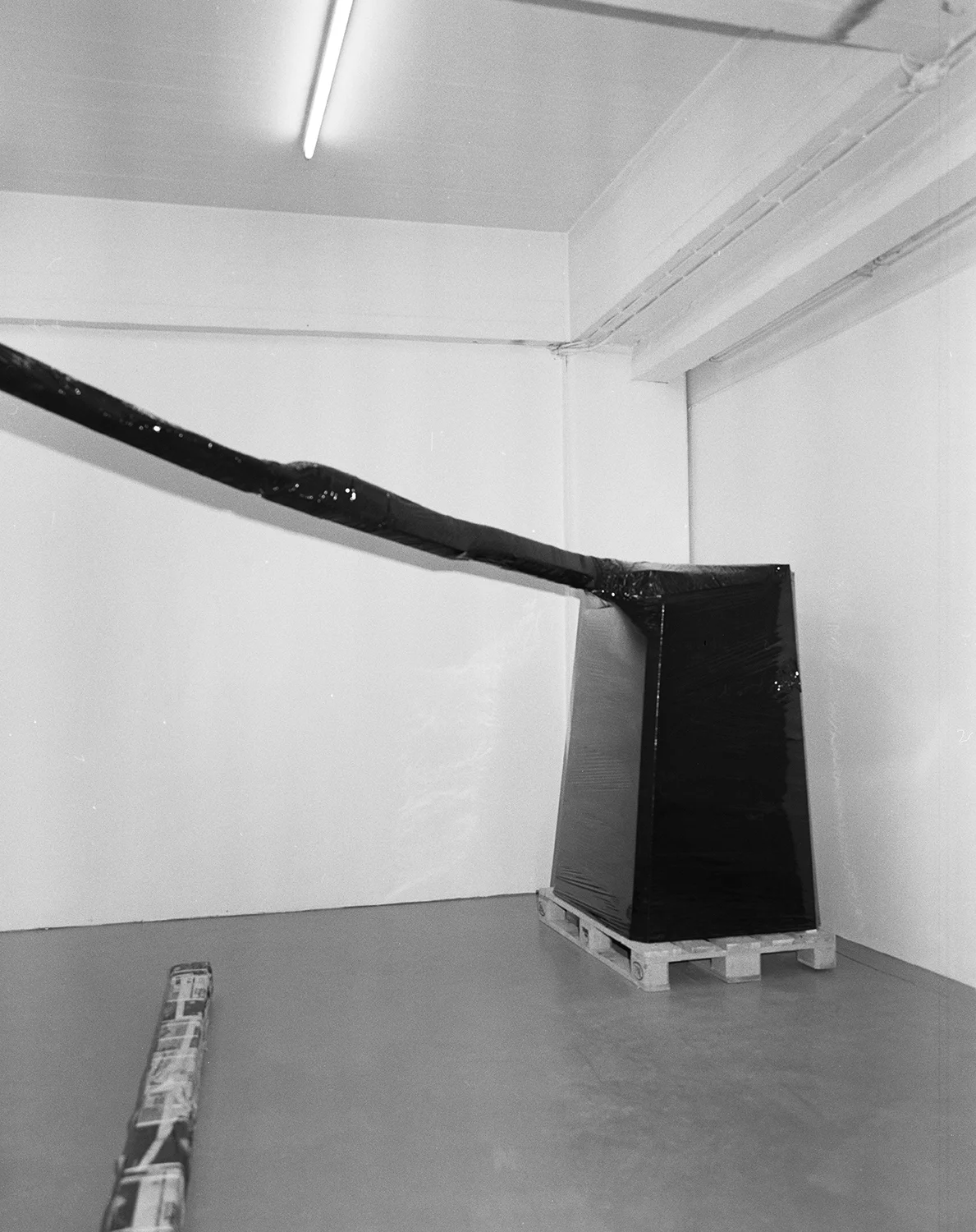 Magasin-Lotus-Magnus-Frederik-Clausen-.jpg