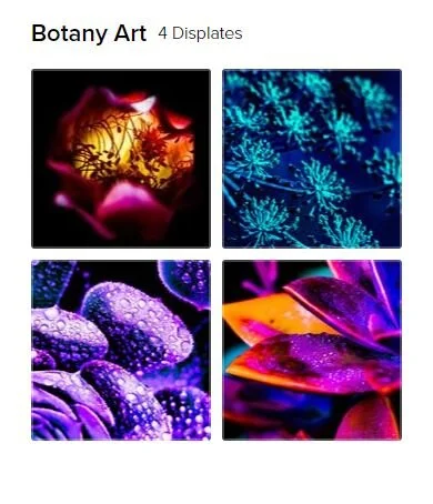 botanyart_link.JPG