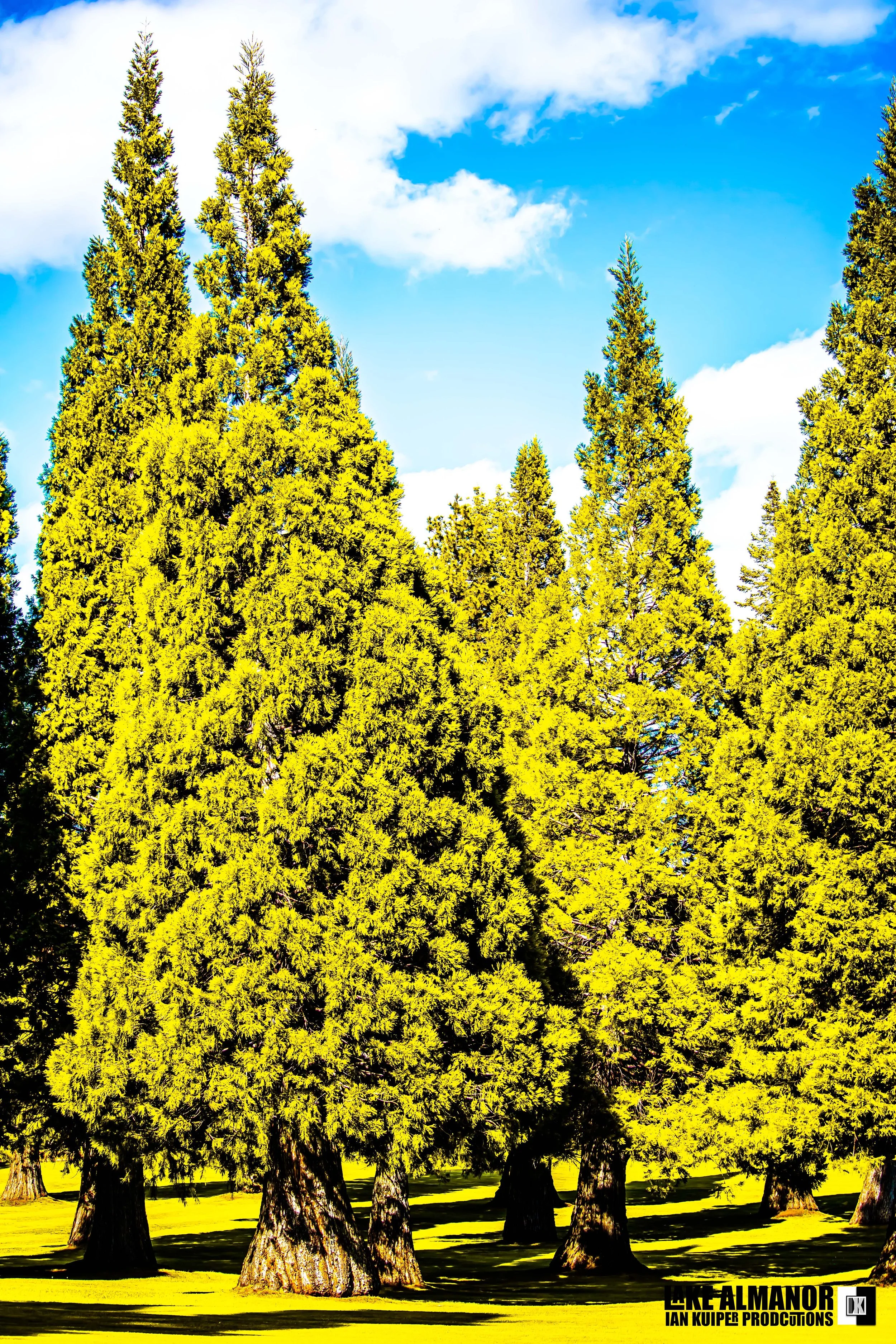 Mount Lassen Poster 4