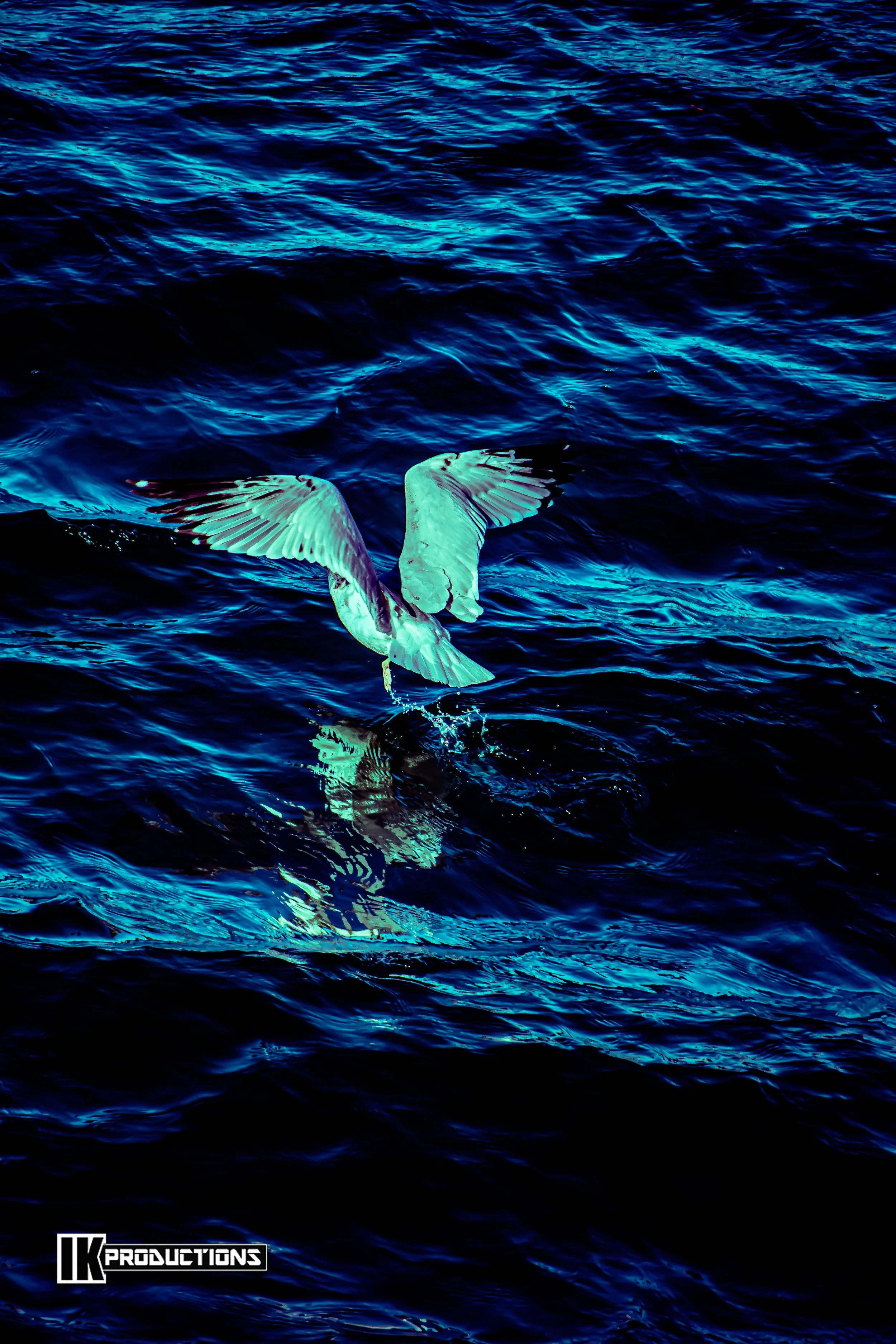 Foster City Bird Poster 2