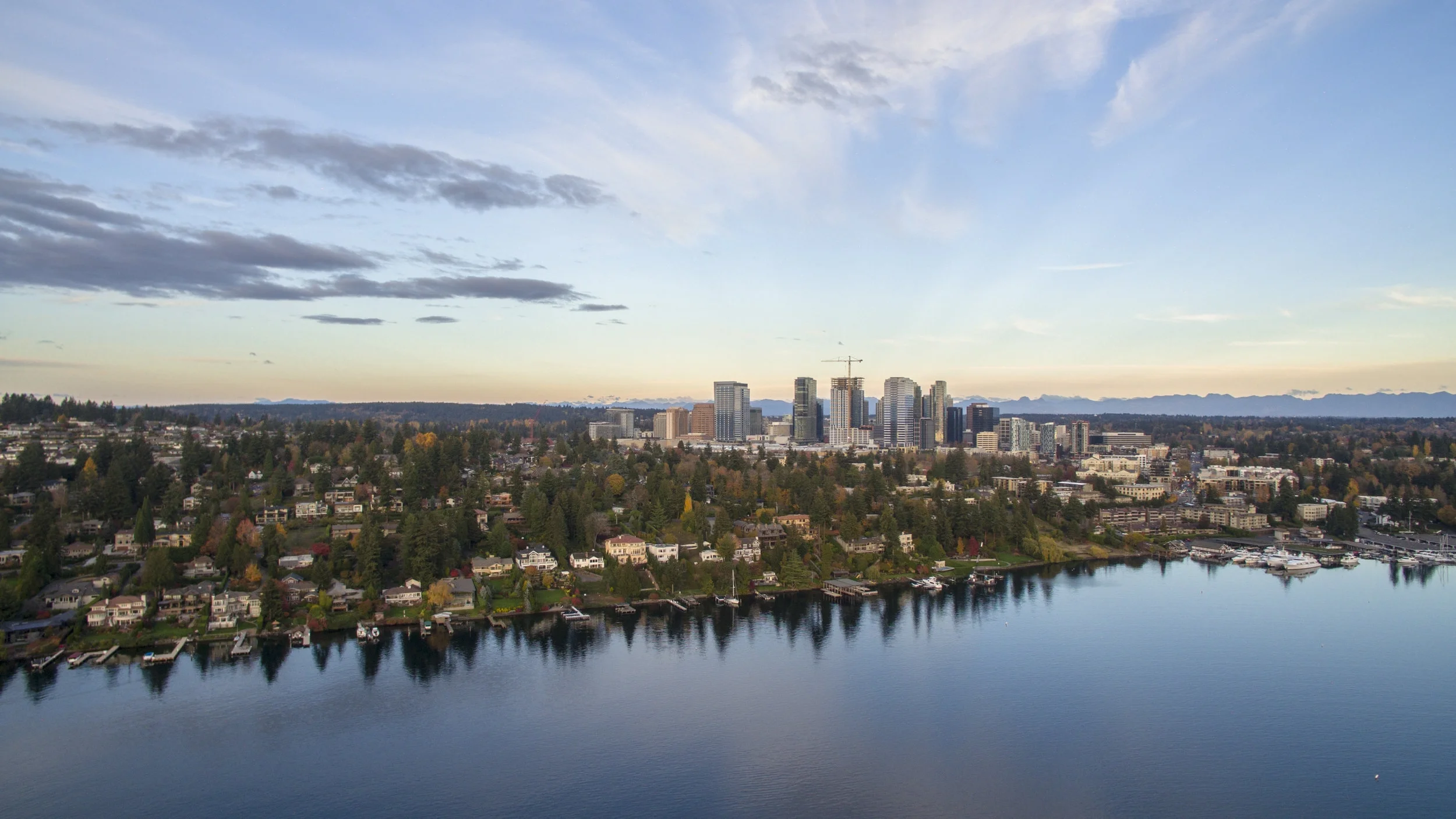 AdobeStock_125187346 Bellevue Washington City Landscape Skyscrapers.jpeg