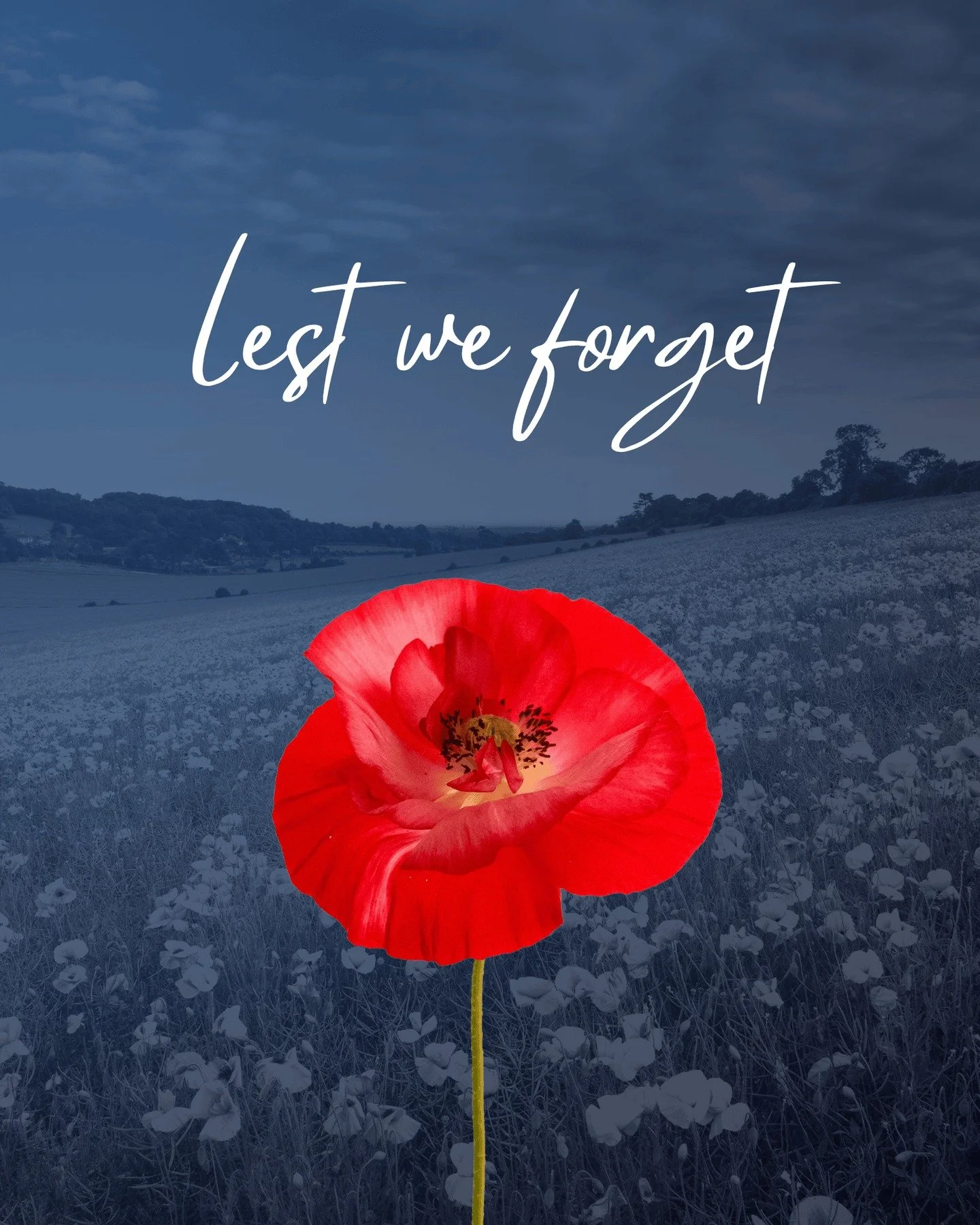 On this Remembrance Day, we take the time to honuor and remember the courage and sacrifice of those who have served (and continue to serve) our country. Lest we forget 🌹