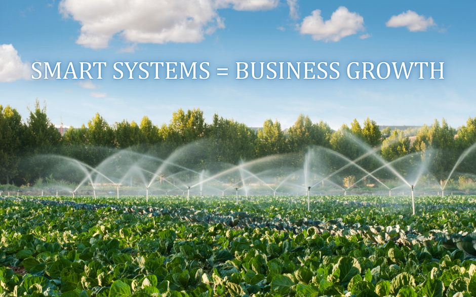 Why Smart Systems in Business Are Like Irrigation for Your Garden