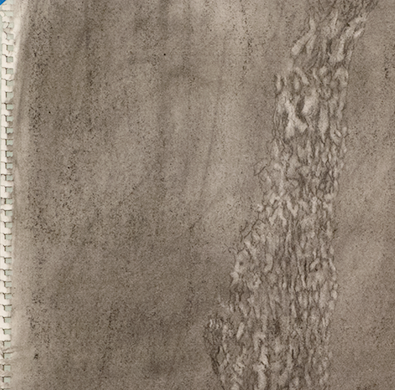 treebark-drawing.png
