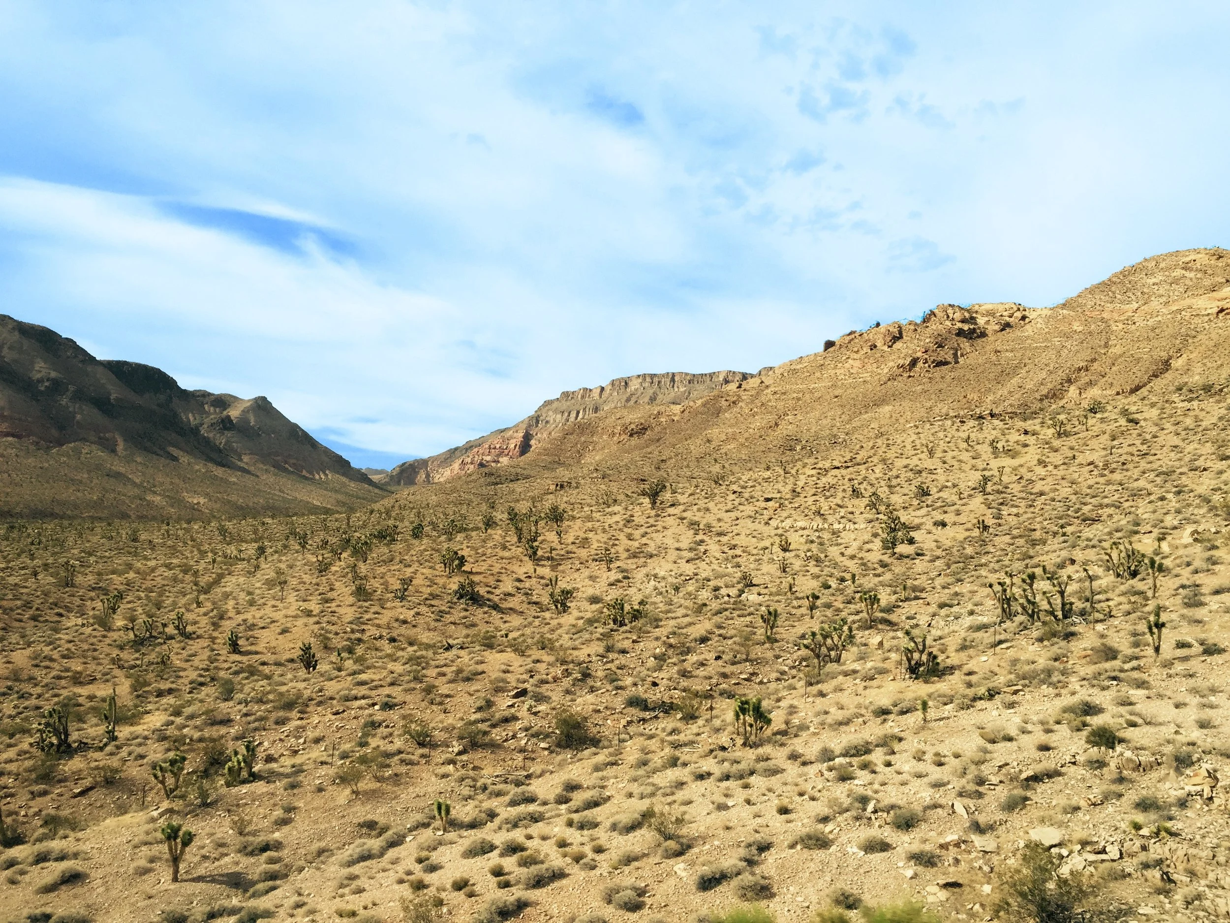 Mojave Trails -37412-unsplash.jpg
