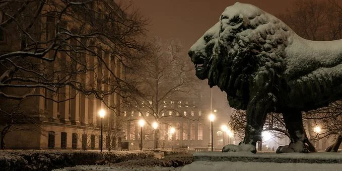 lion snow.jpg