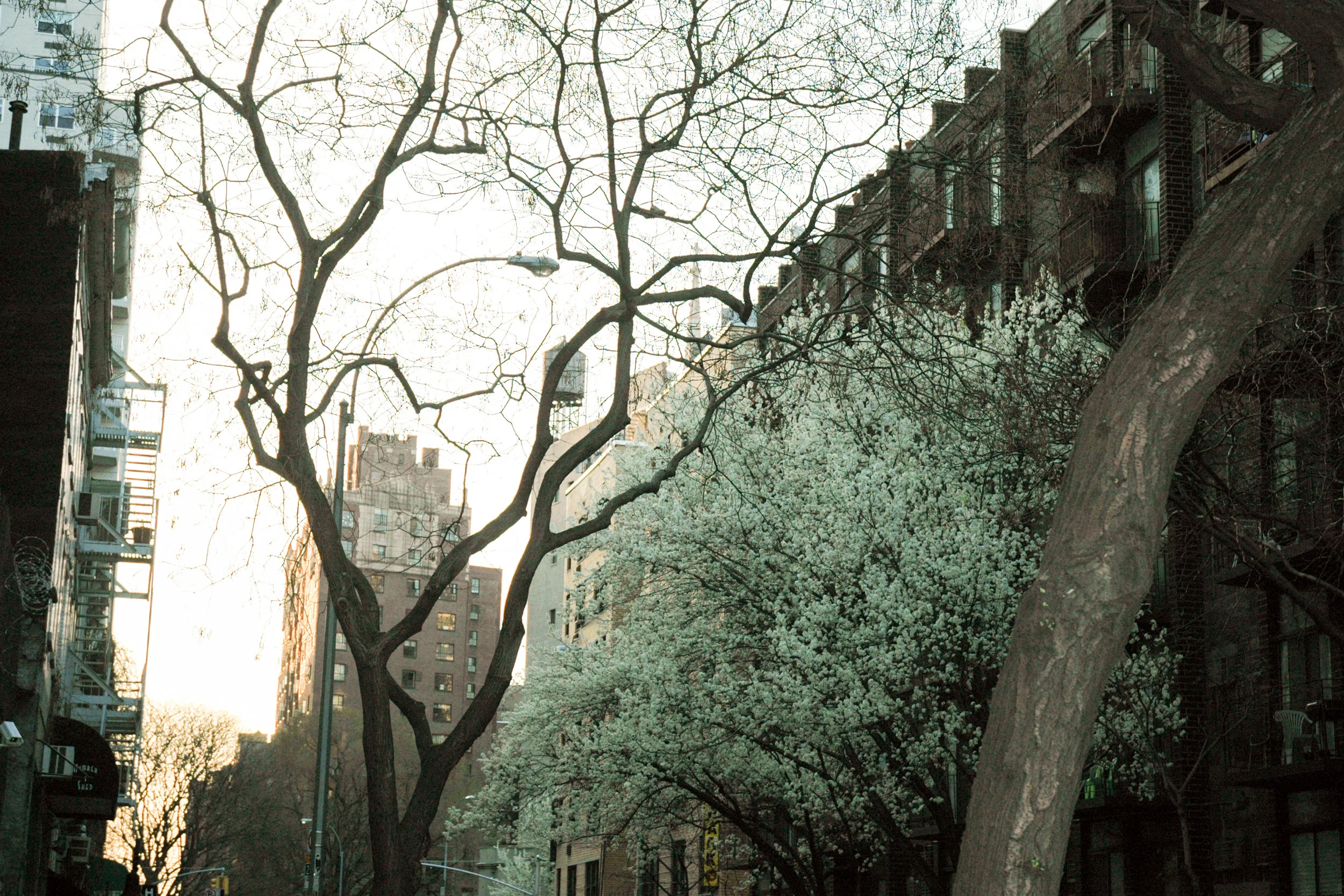 2005.4.14.44.jpg