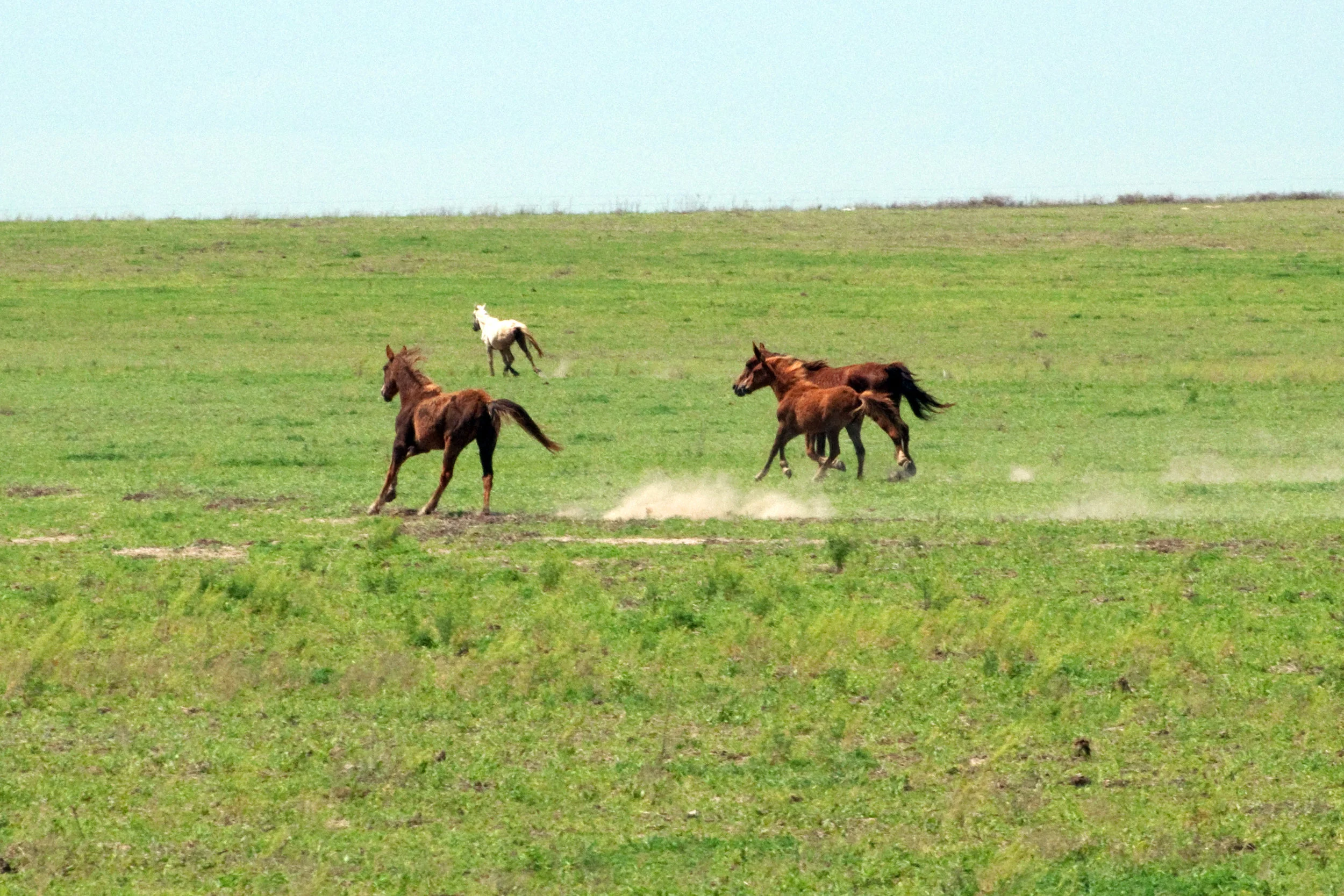 2010.5.2.jpg