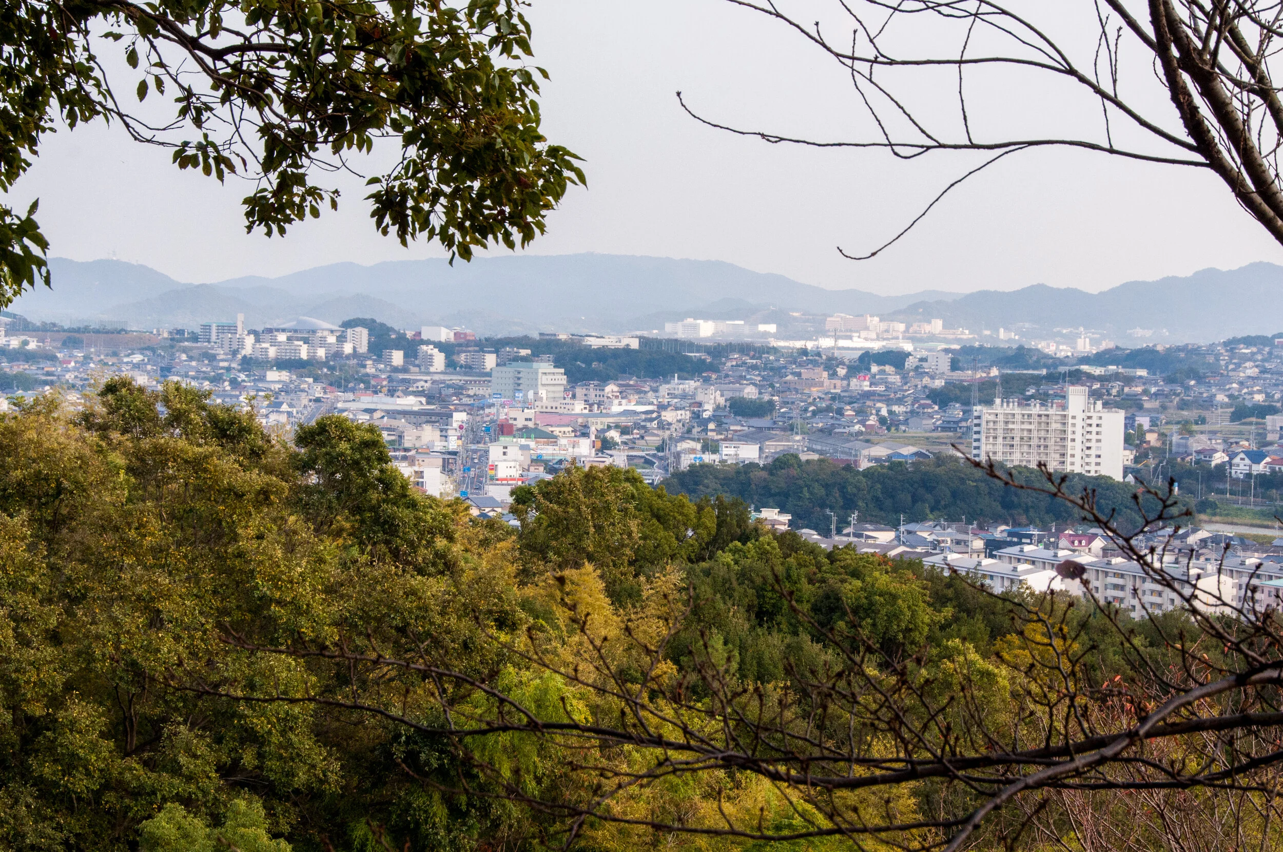 2015.10.30.233.LR copy.jpg
