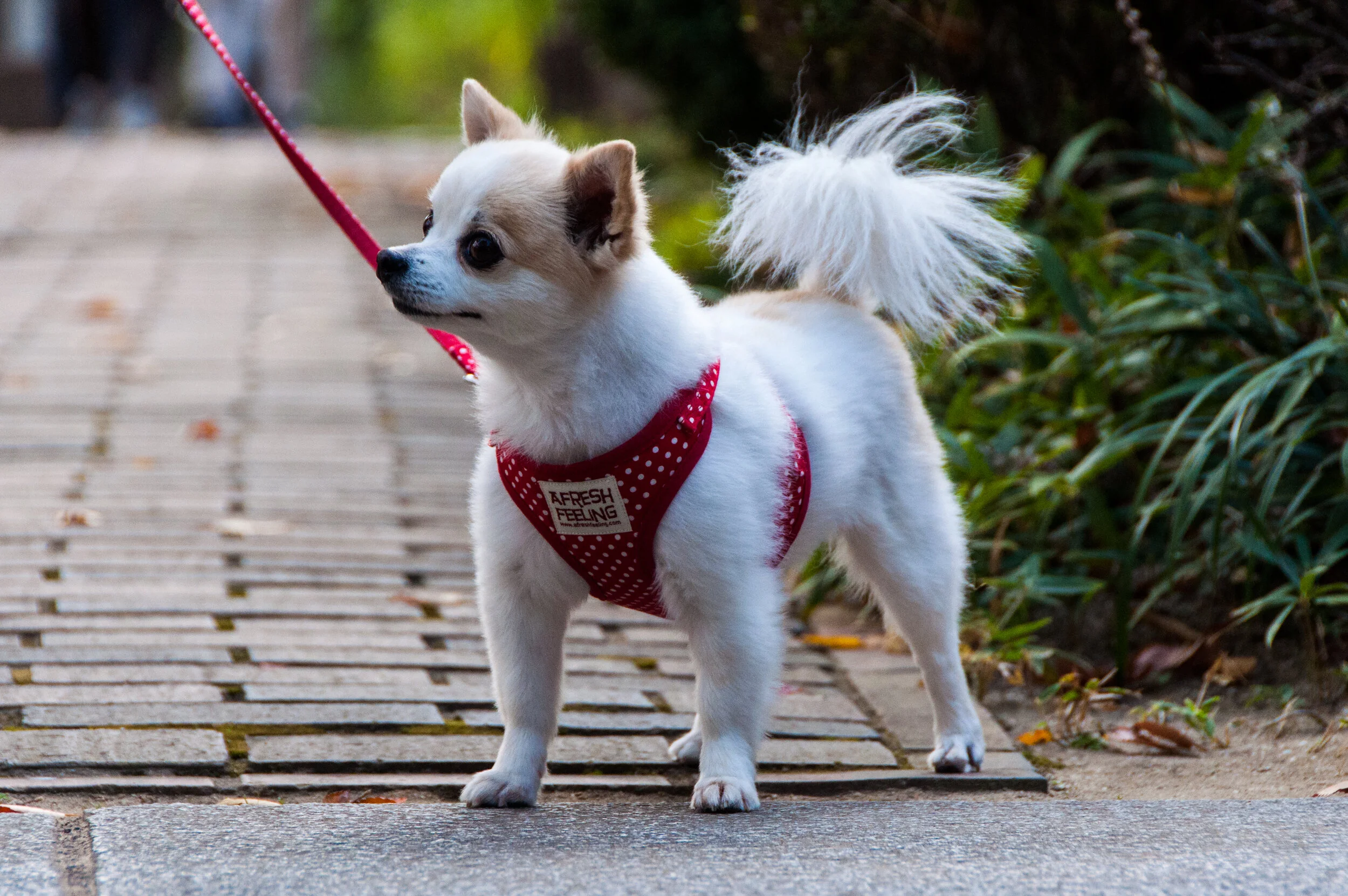 2015.10.30.226.LR copy.jpg