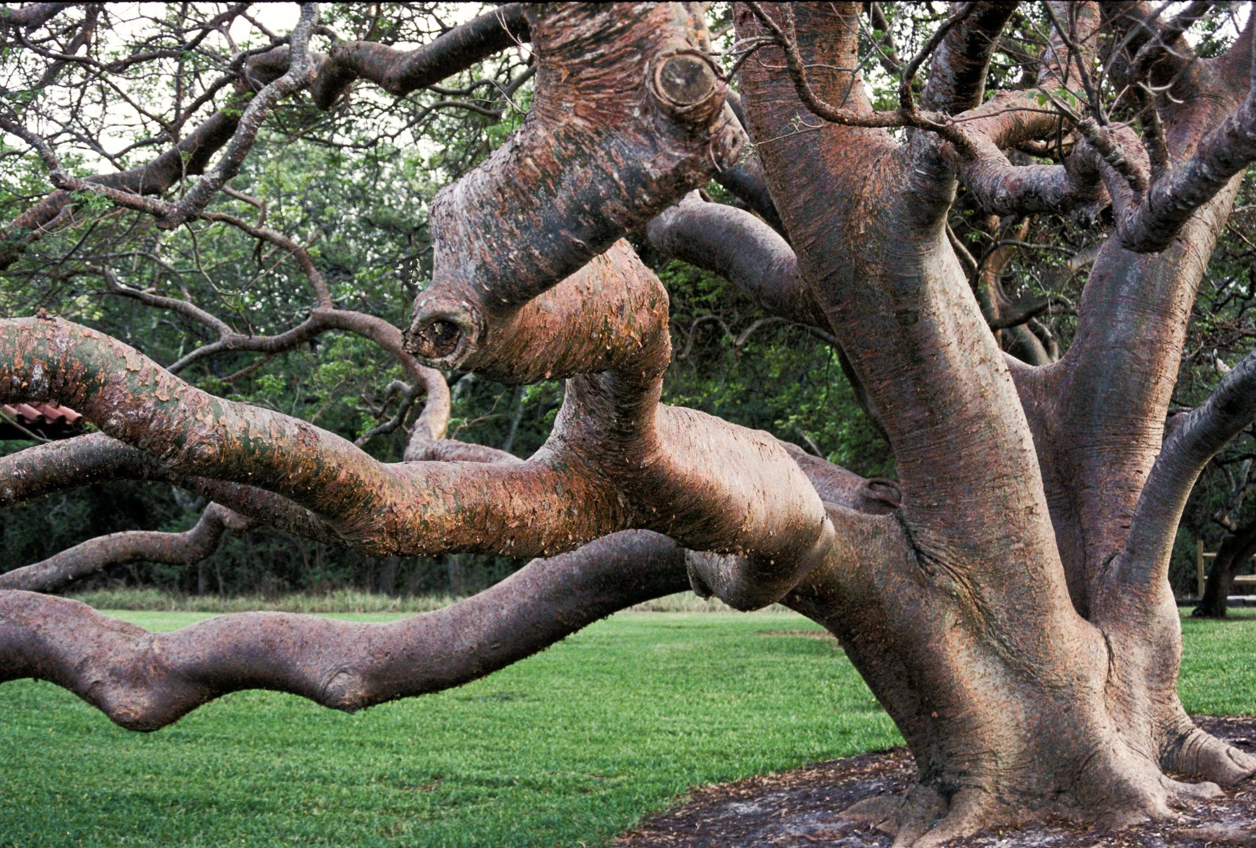 2004.10.1.6.jpg