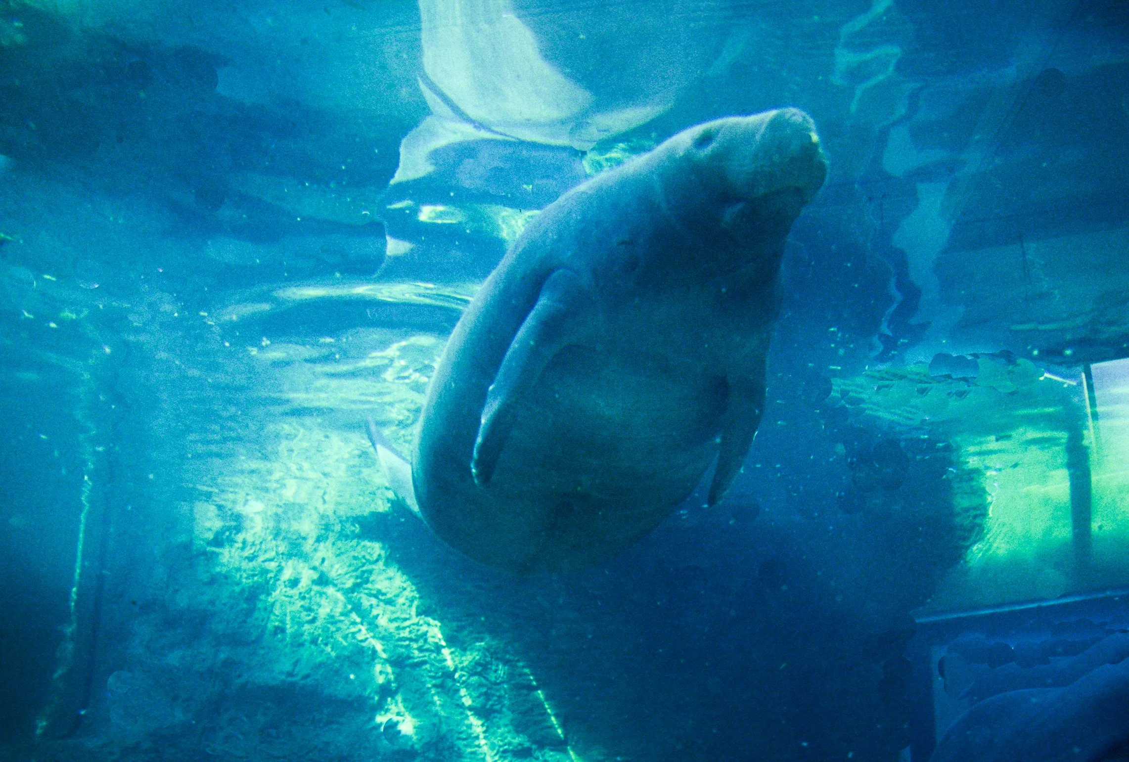 2004.10.3.14.jpg